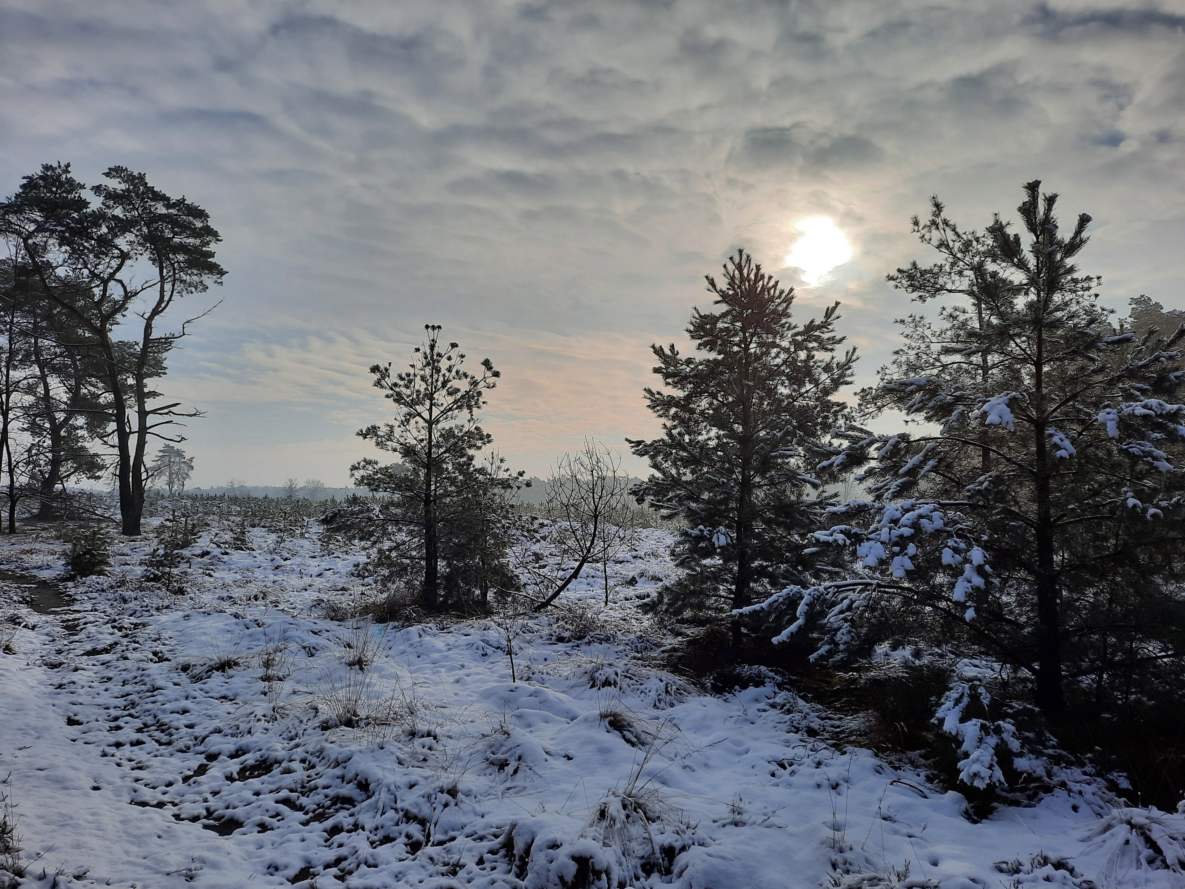 - image: 11