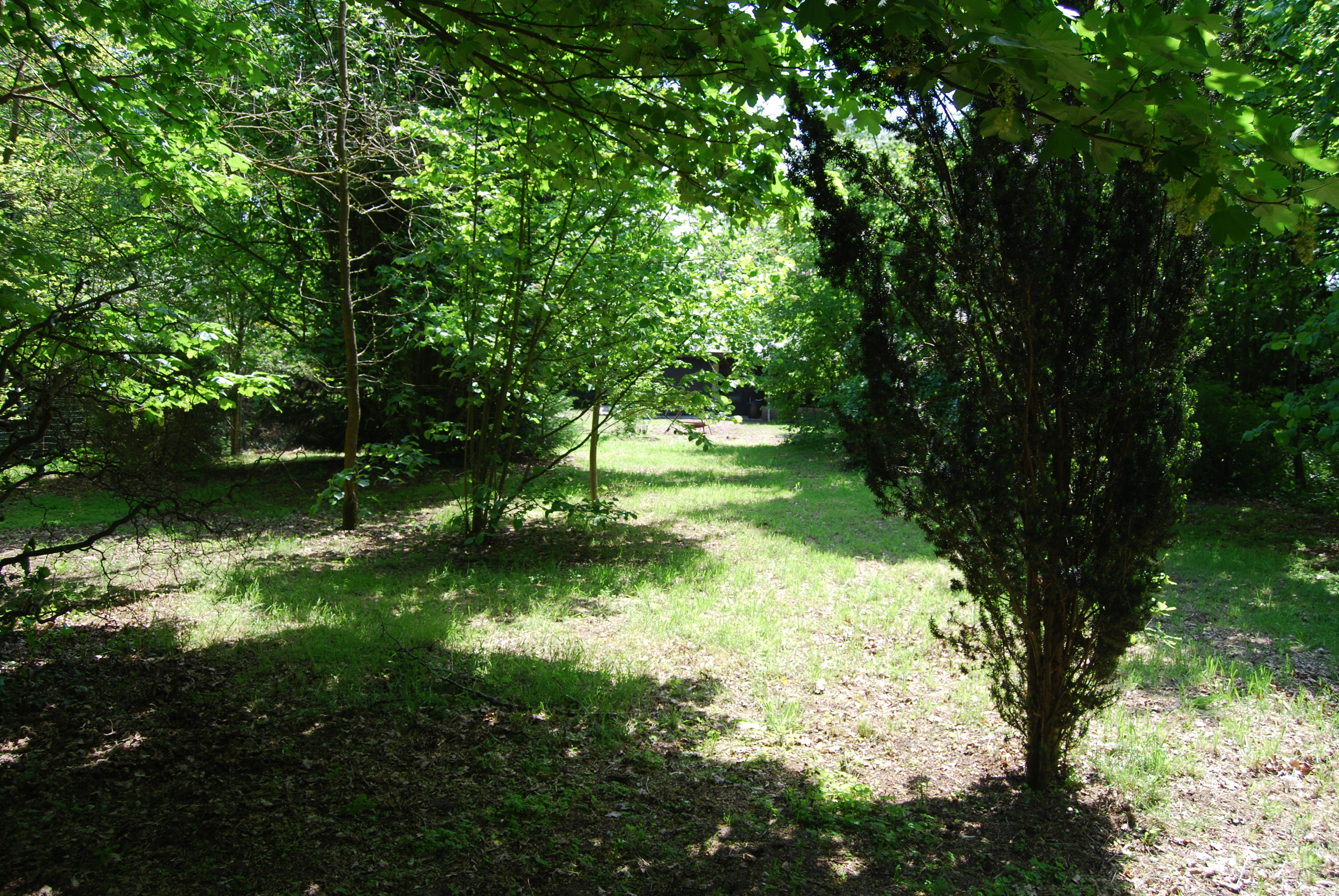 Casa nella natura a Hechtel-Eksel