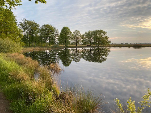 - image: 27