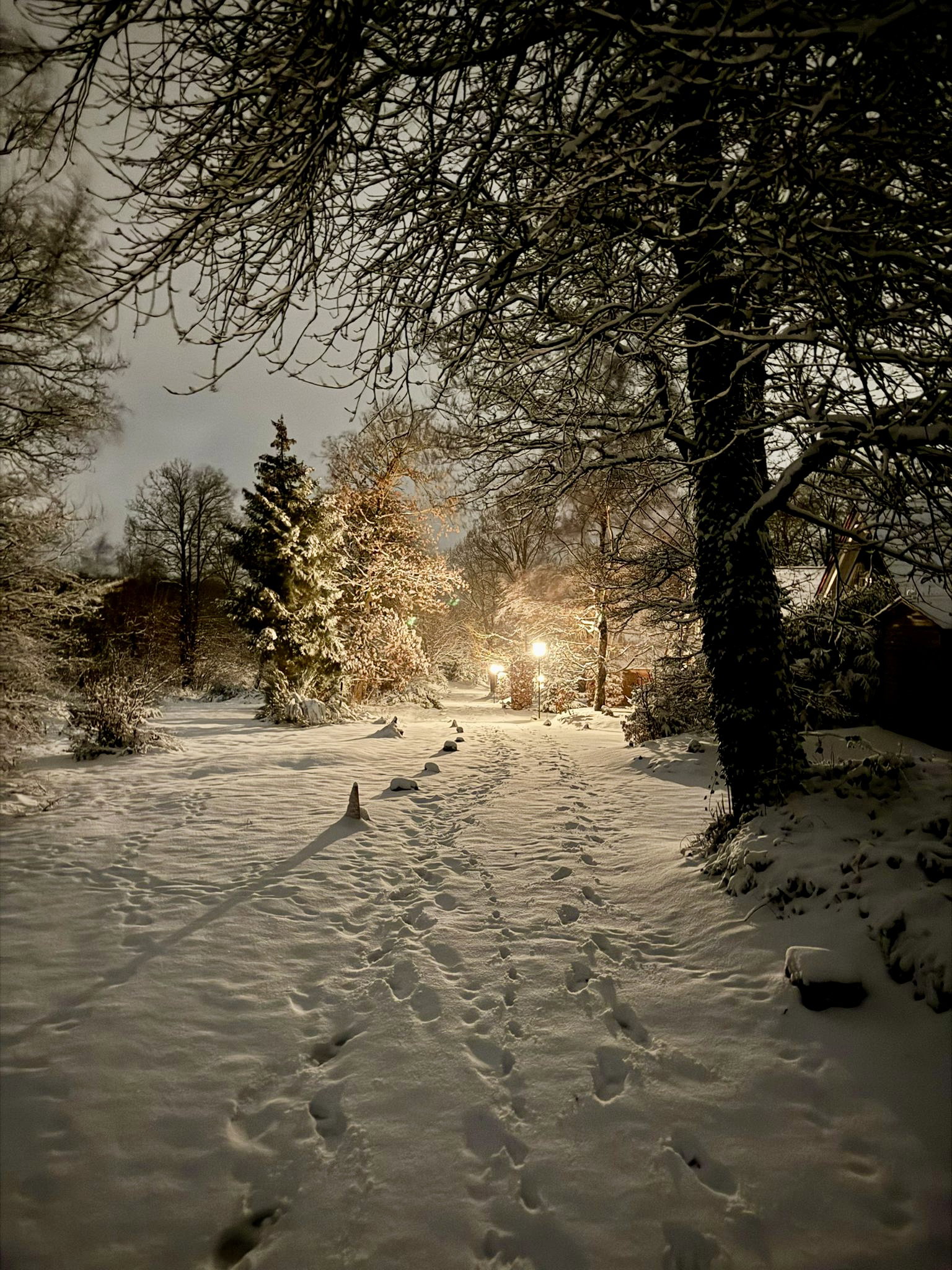 - image: 24