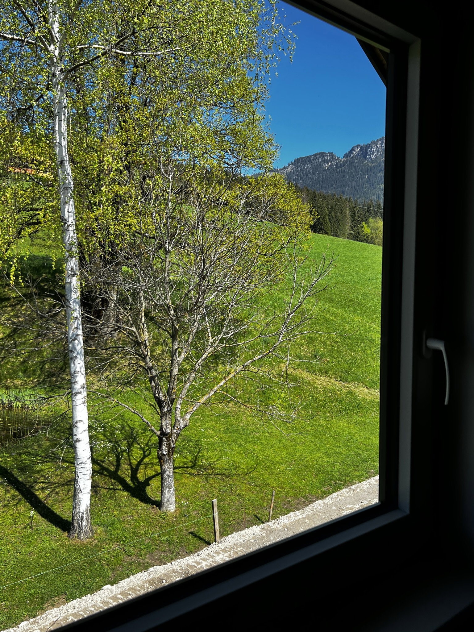 - image: 15
