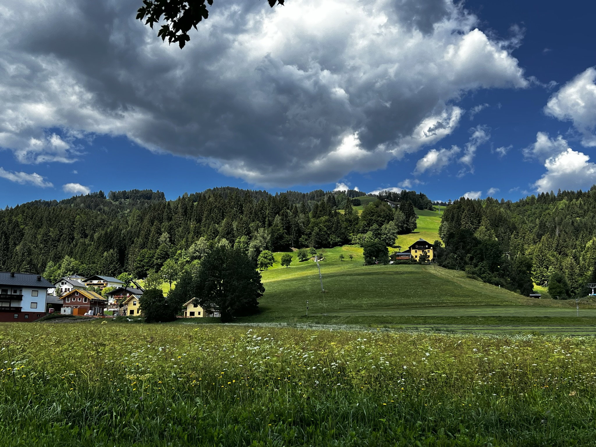 - image: 14