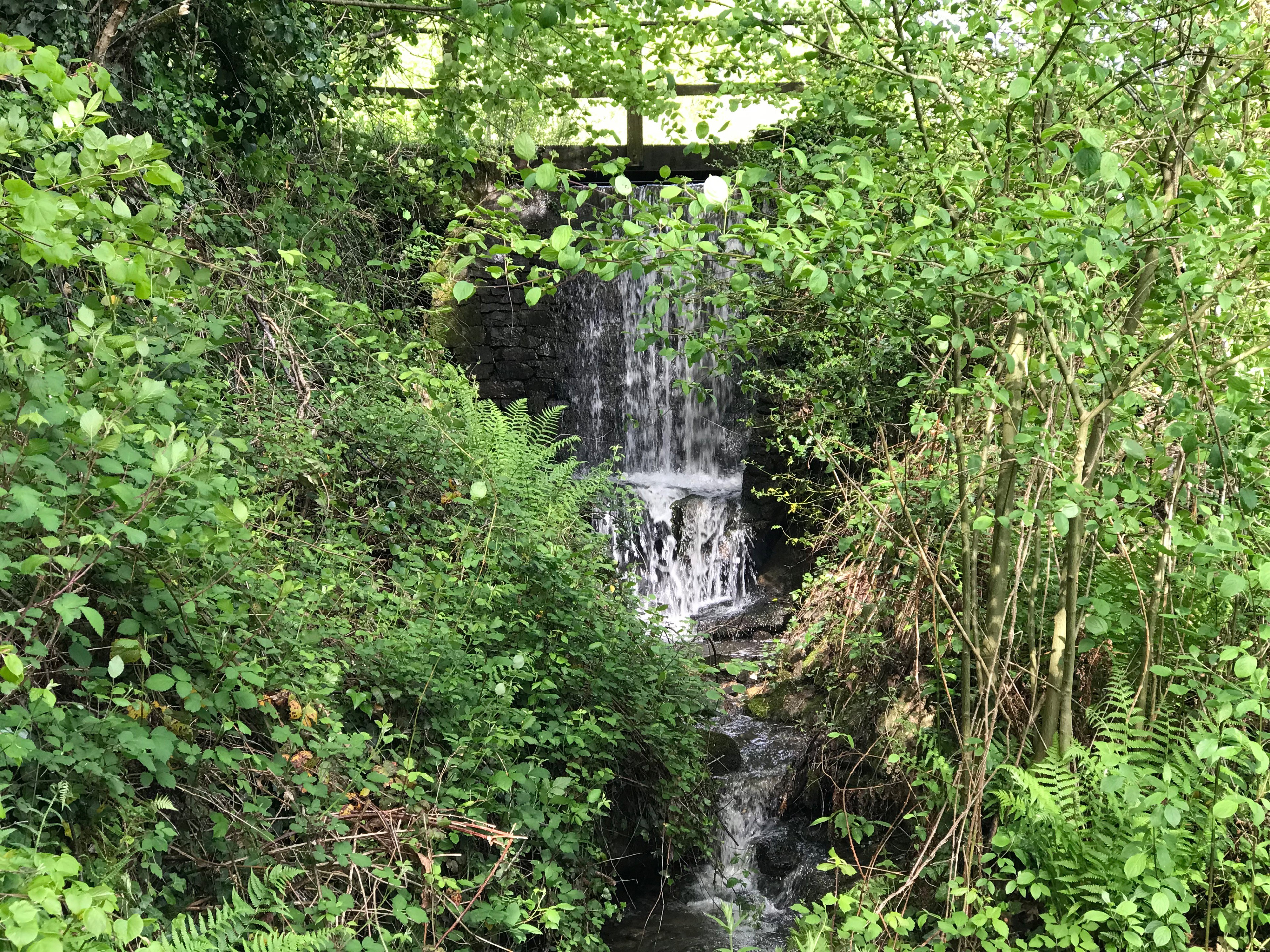 Natuurhuisje in Chalais