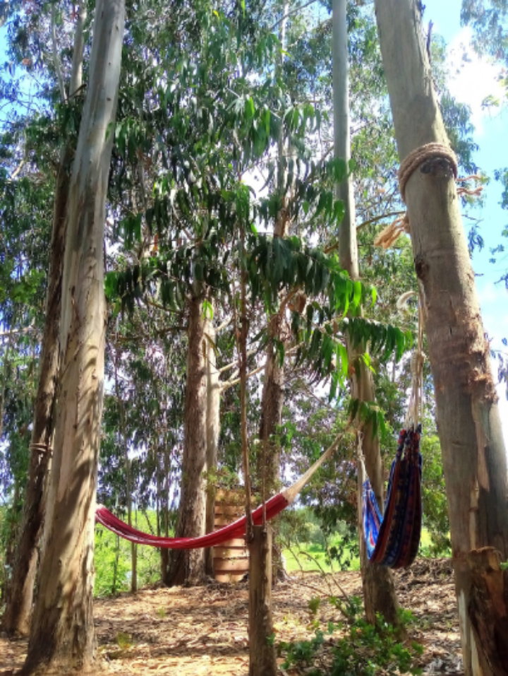 Casa nella natura a Cercal do Alentejo