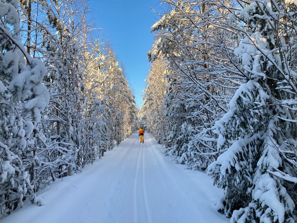 Naturhäuschen in Taipalsaari
