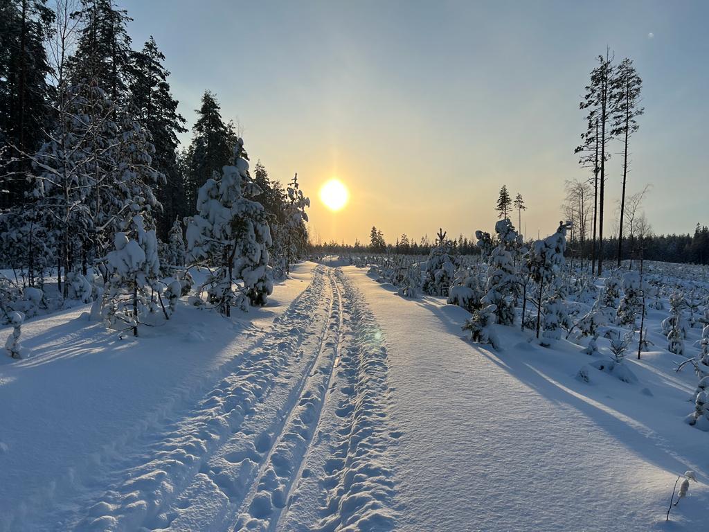 Naturhäuschen in Taipalsaari
