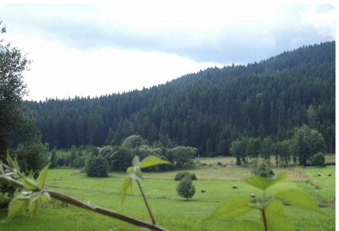Maison nature à Drachselsried