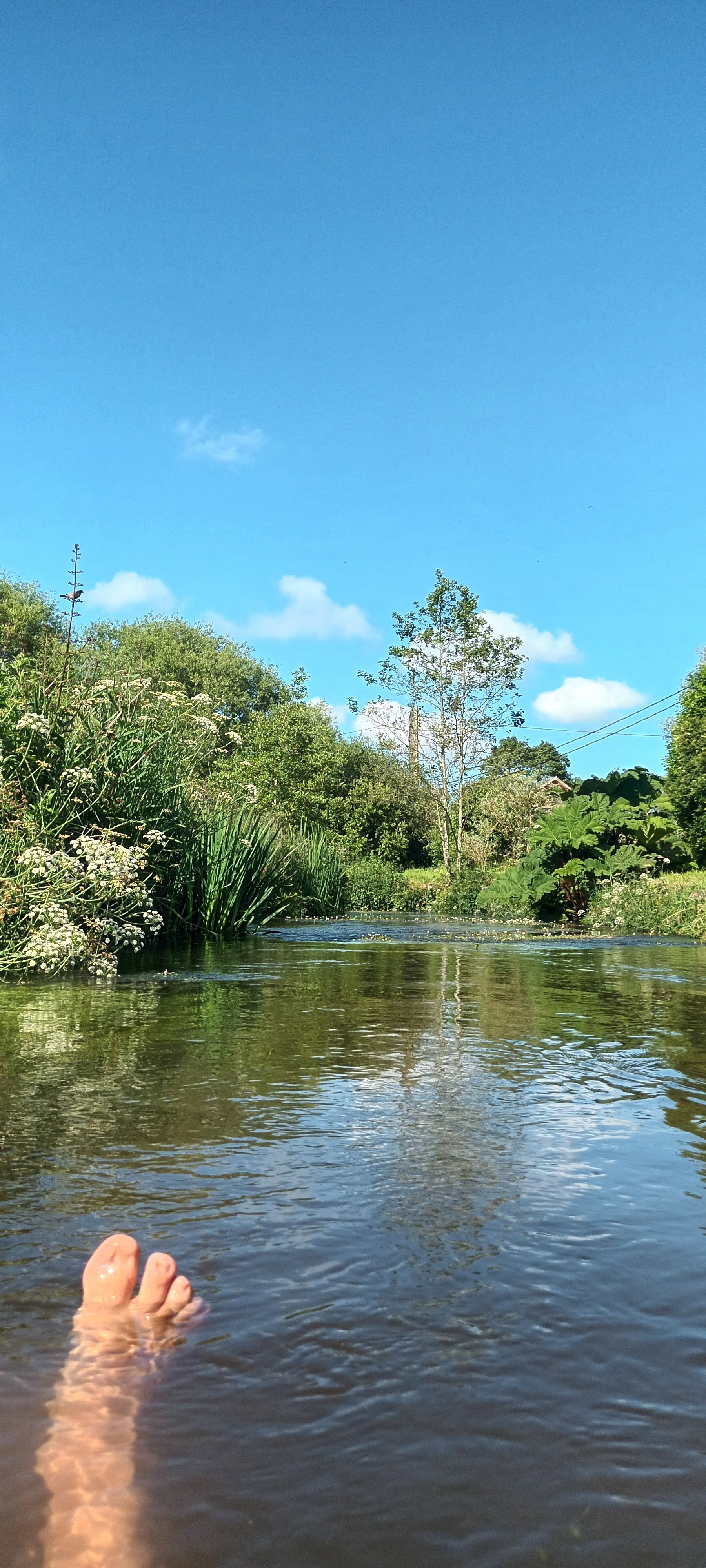 Natuurhuisje in plouvorn