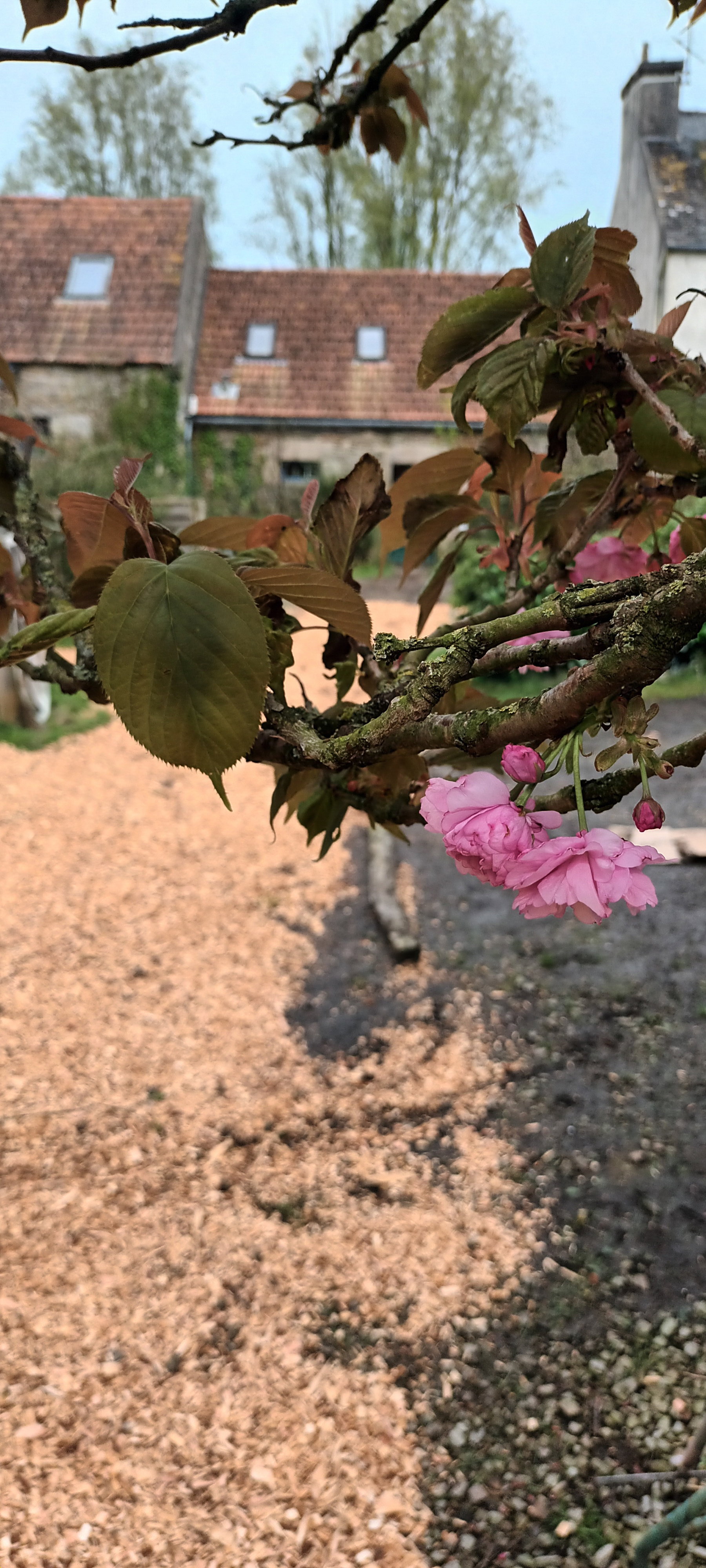 Maison nature à plouvorn