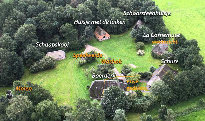 - image: 2