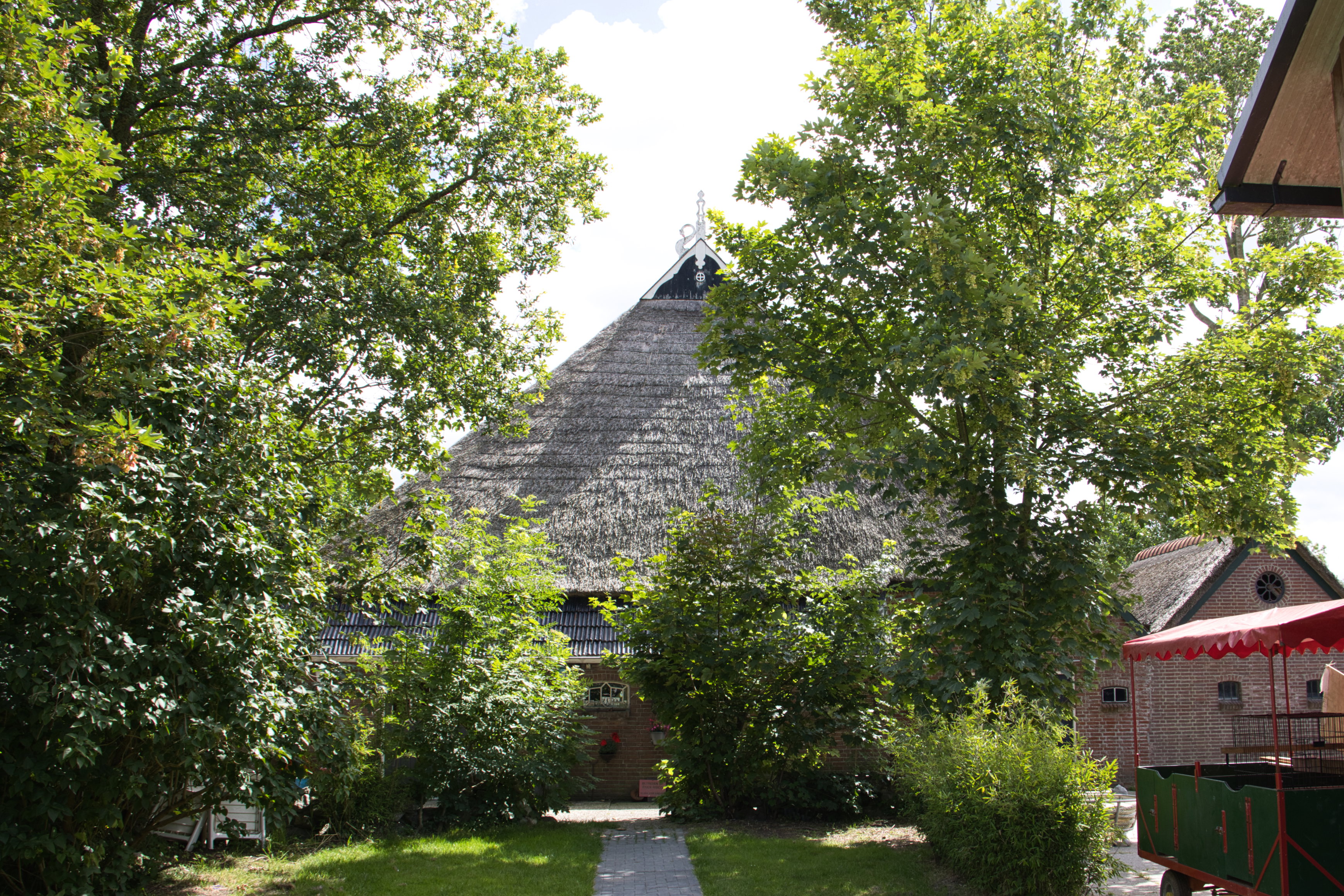- image: 19