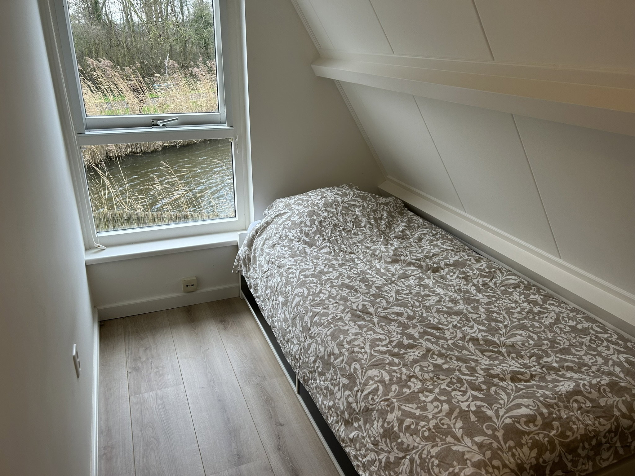 - image: 19