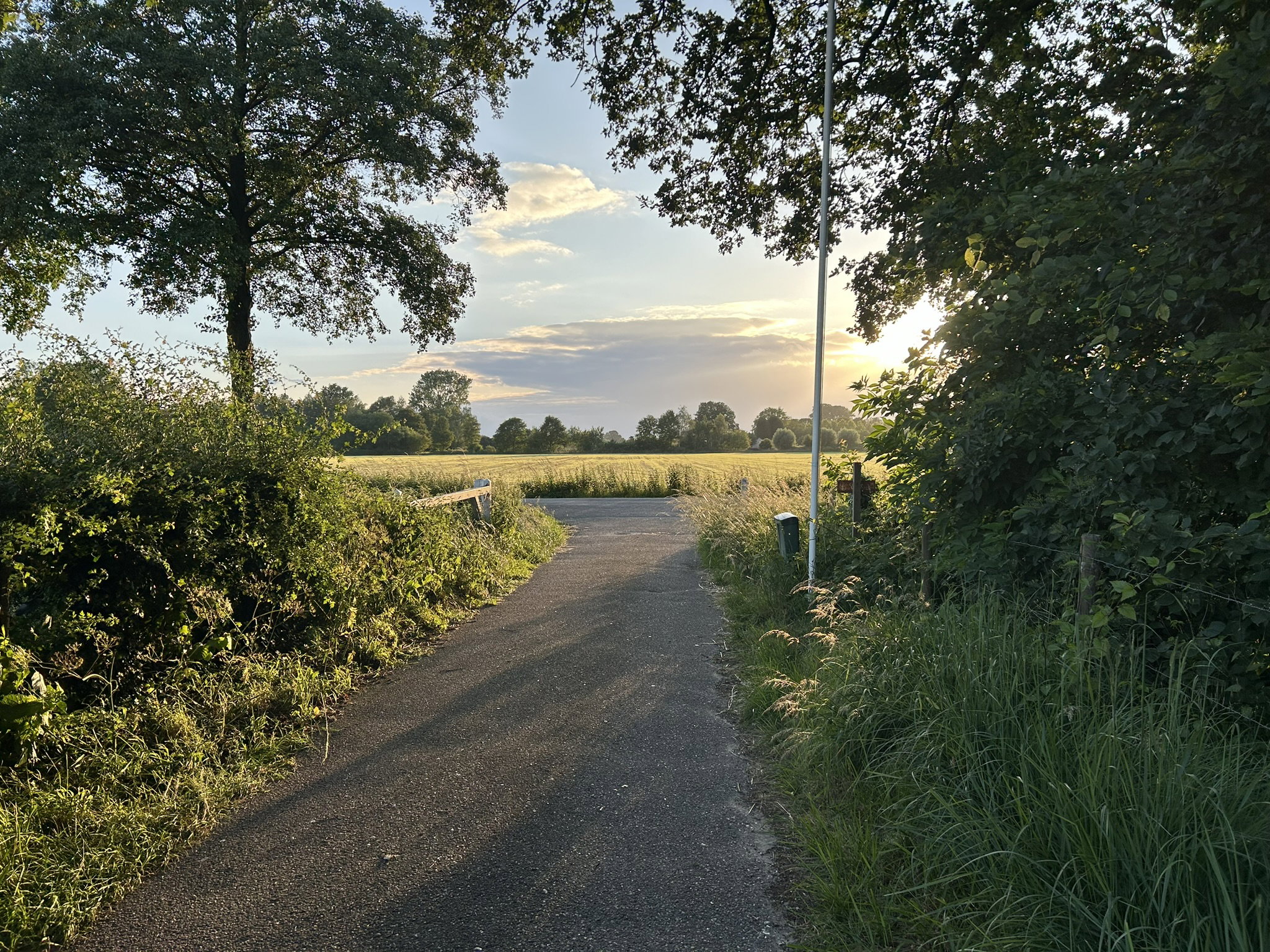 - image: 13
