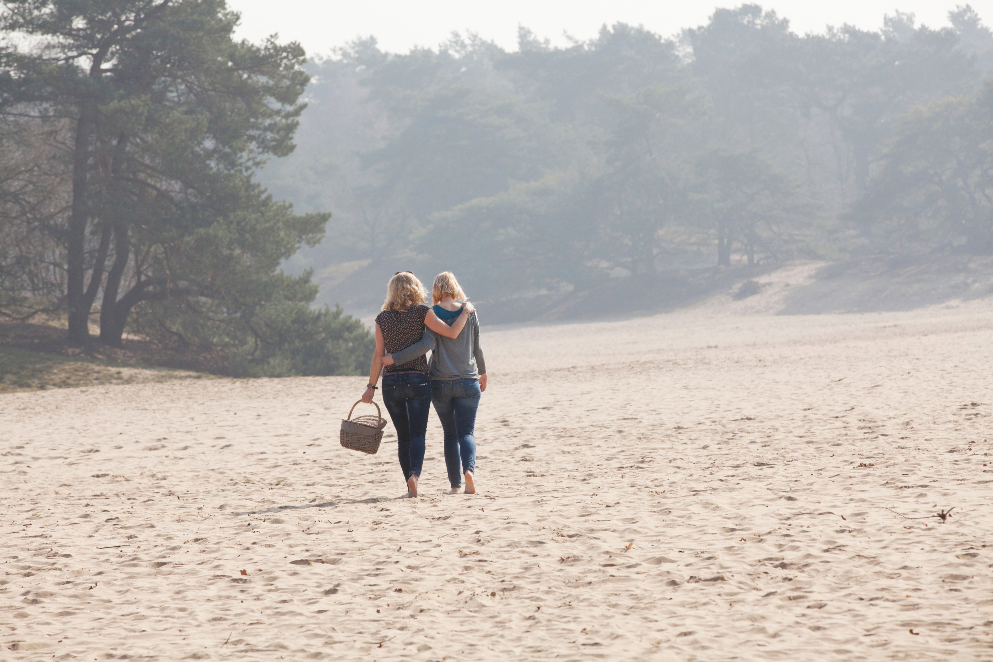 - image: 16