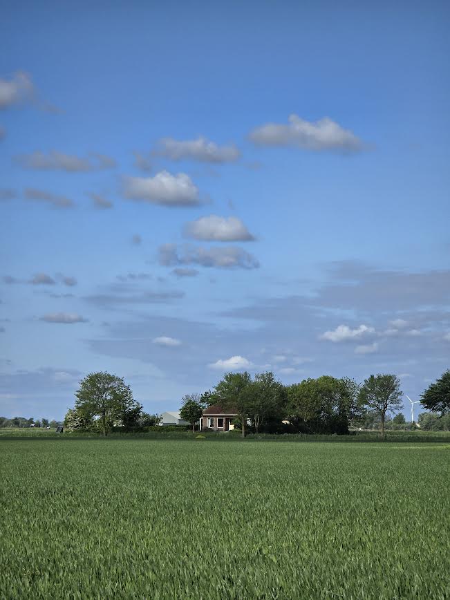 Natuurhuisje in Anna Paulowna