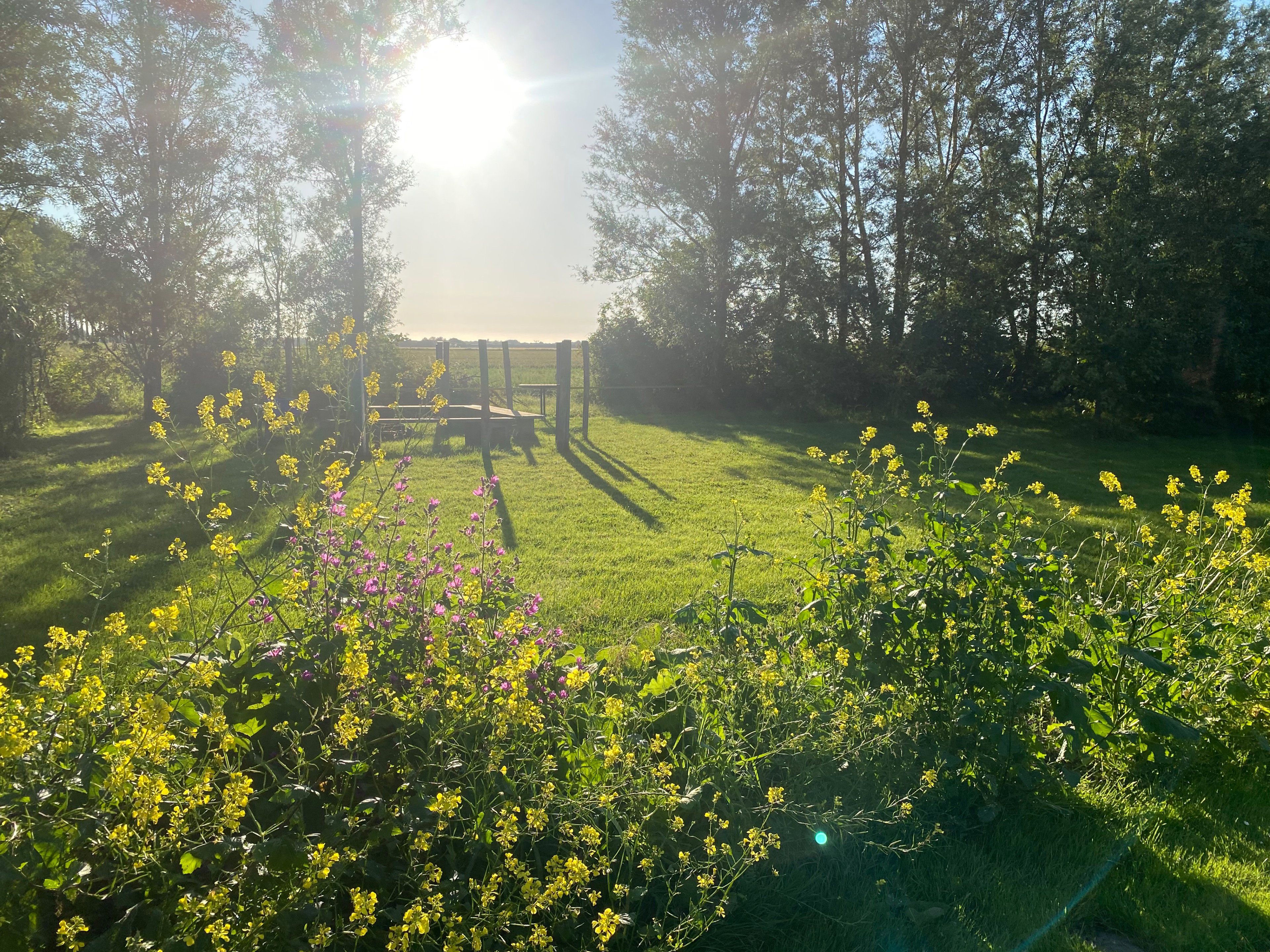 Naturhäuschen in Groede