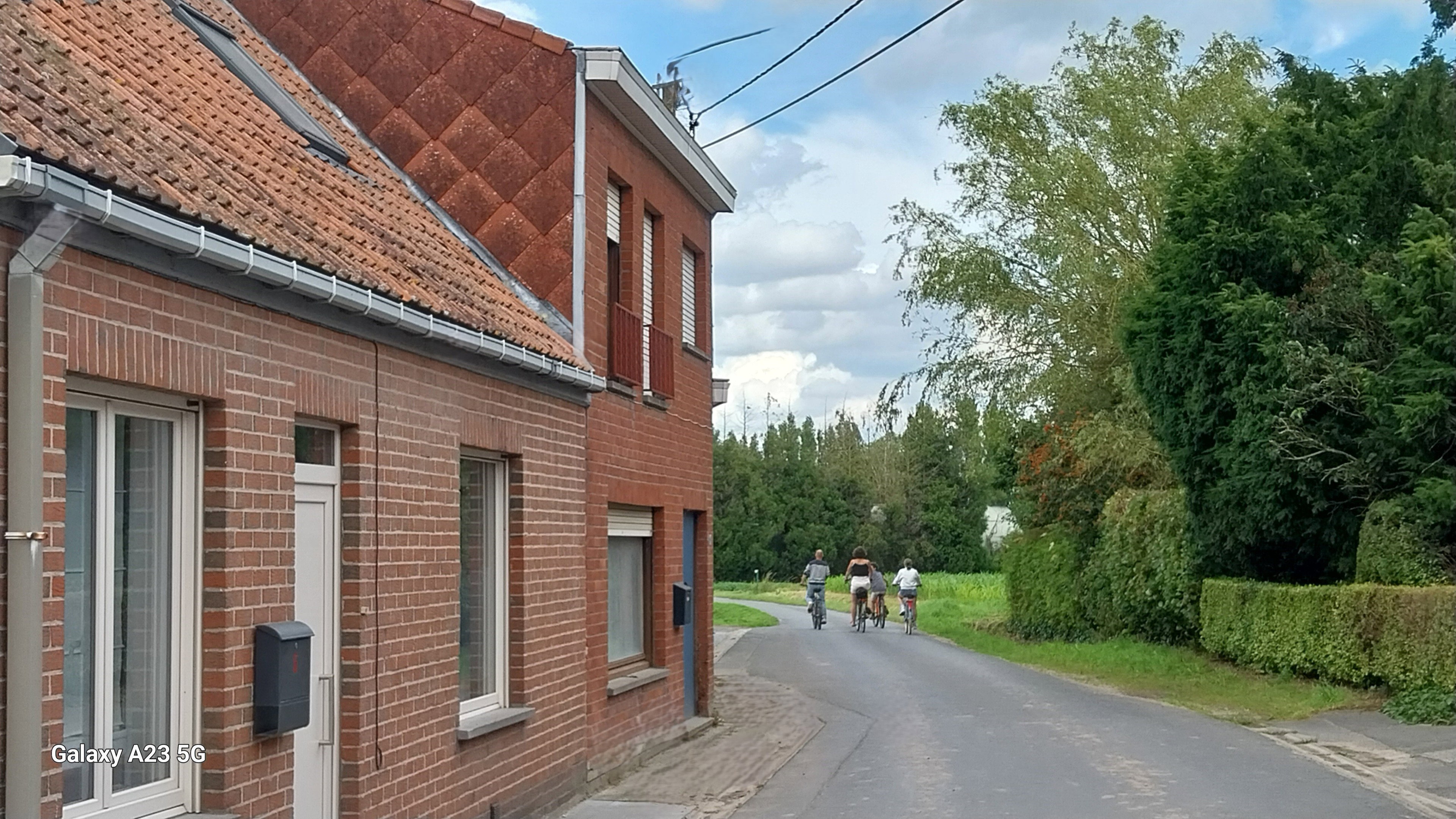 - image: 26