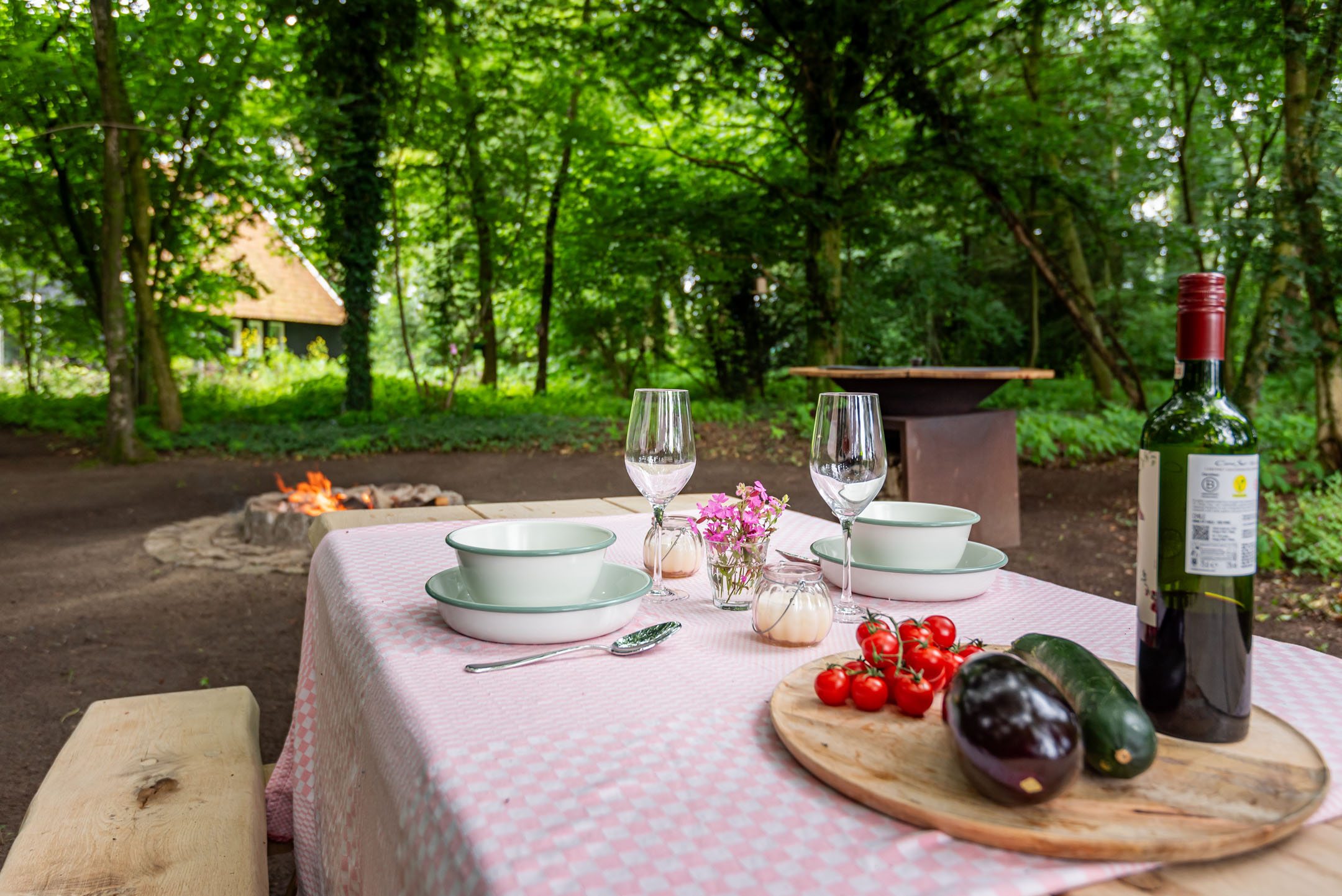 Natuurhuisje in Winterswijk Corle