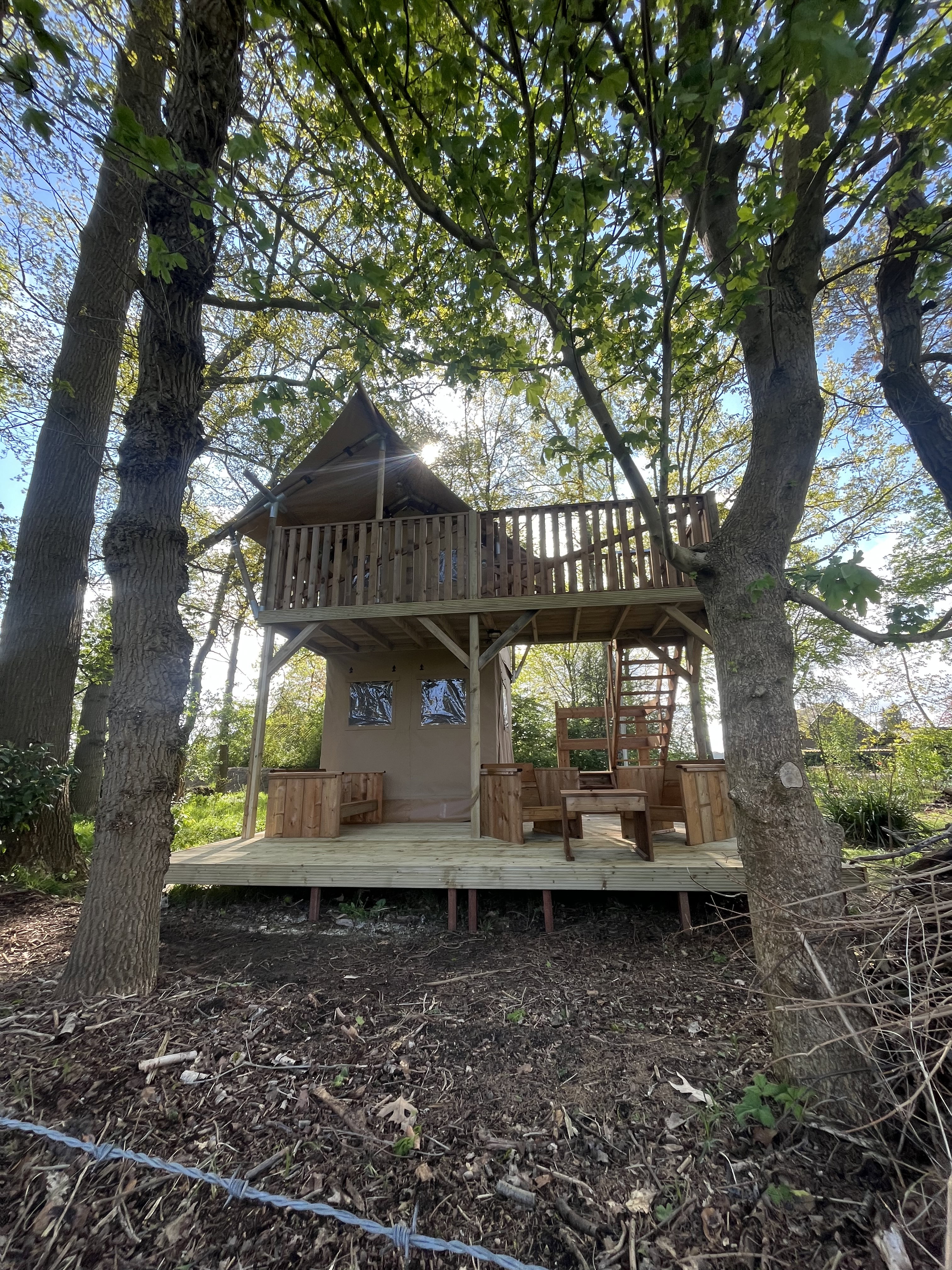 - image: 2