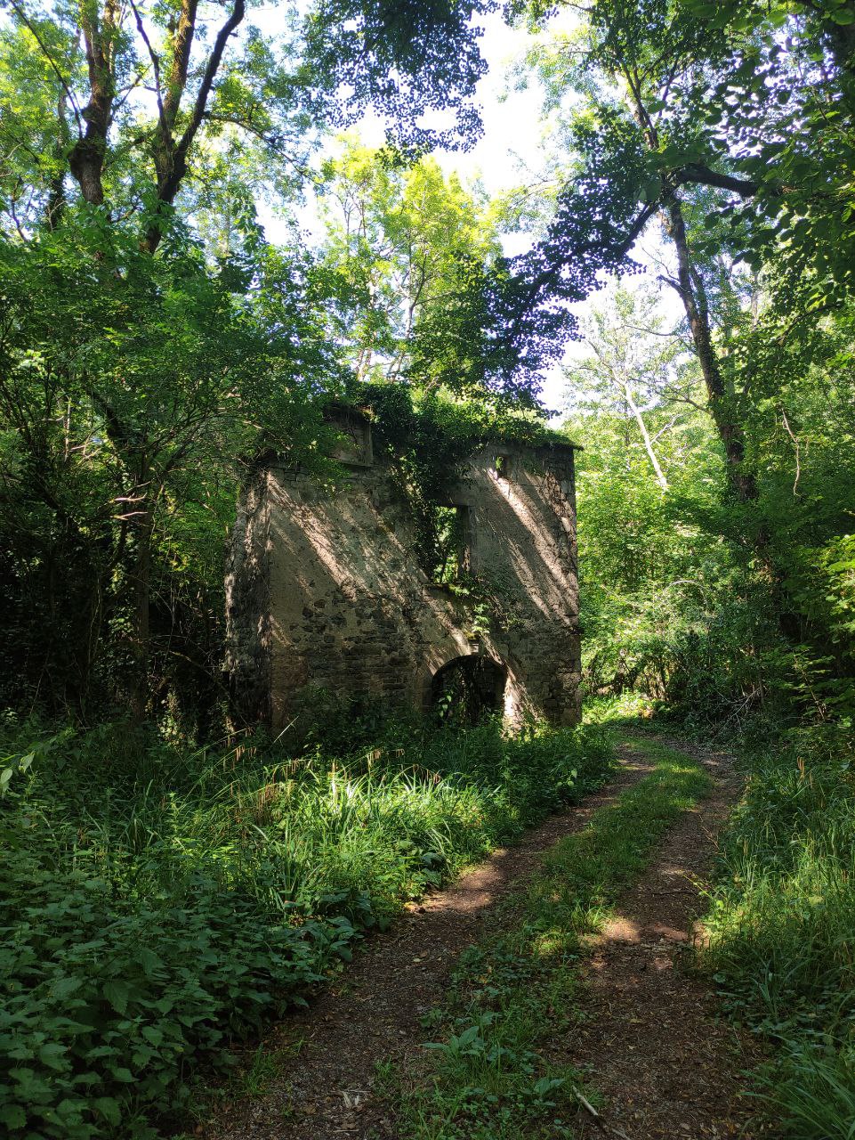 Maison nature à Verfeil sur Seye