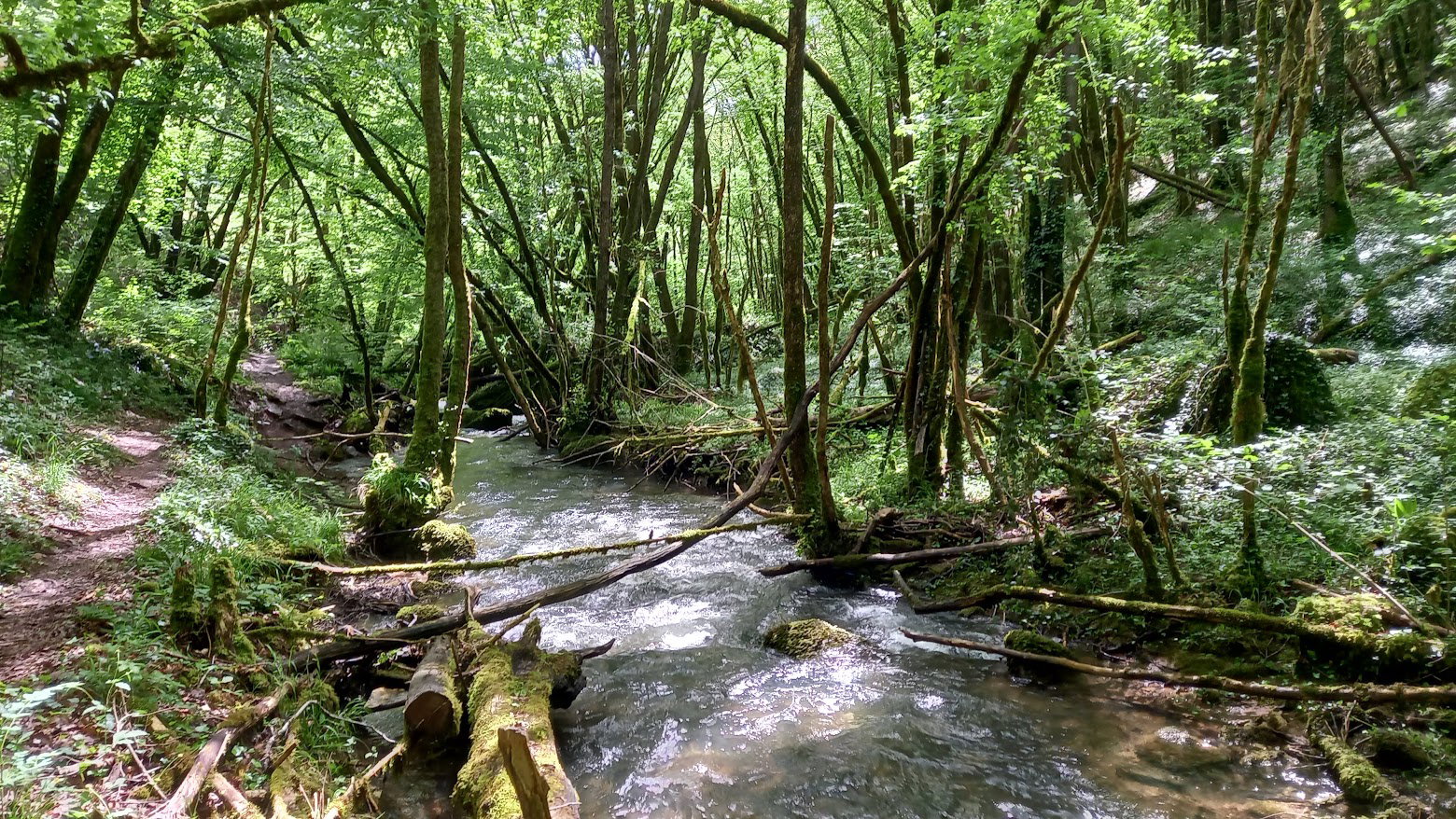Maison nature à Verfeil sur Seye