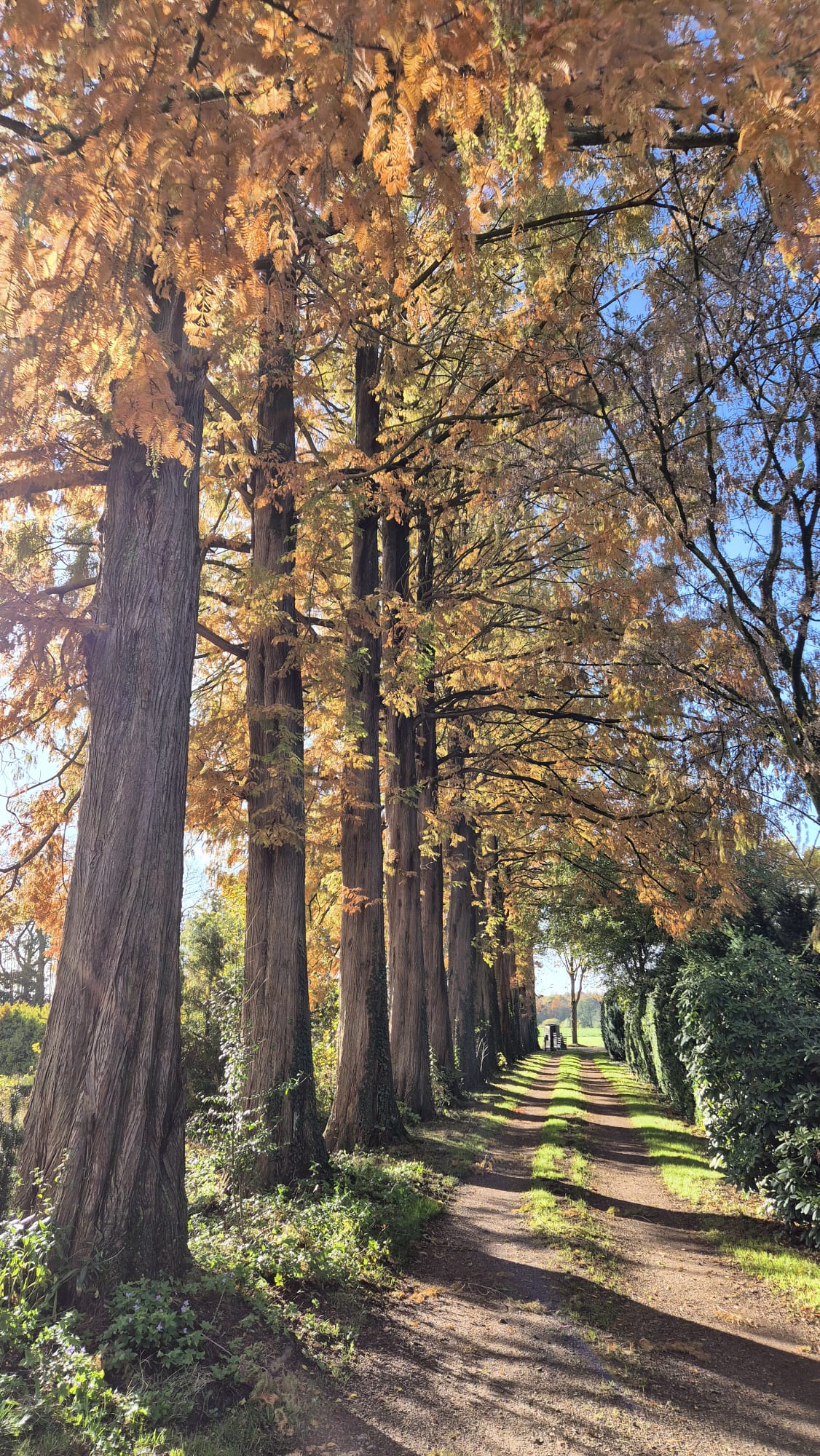 Natuurhuisje in Barchem