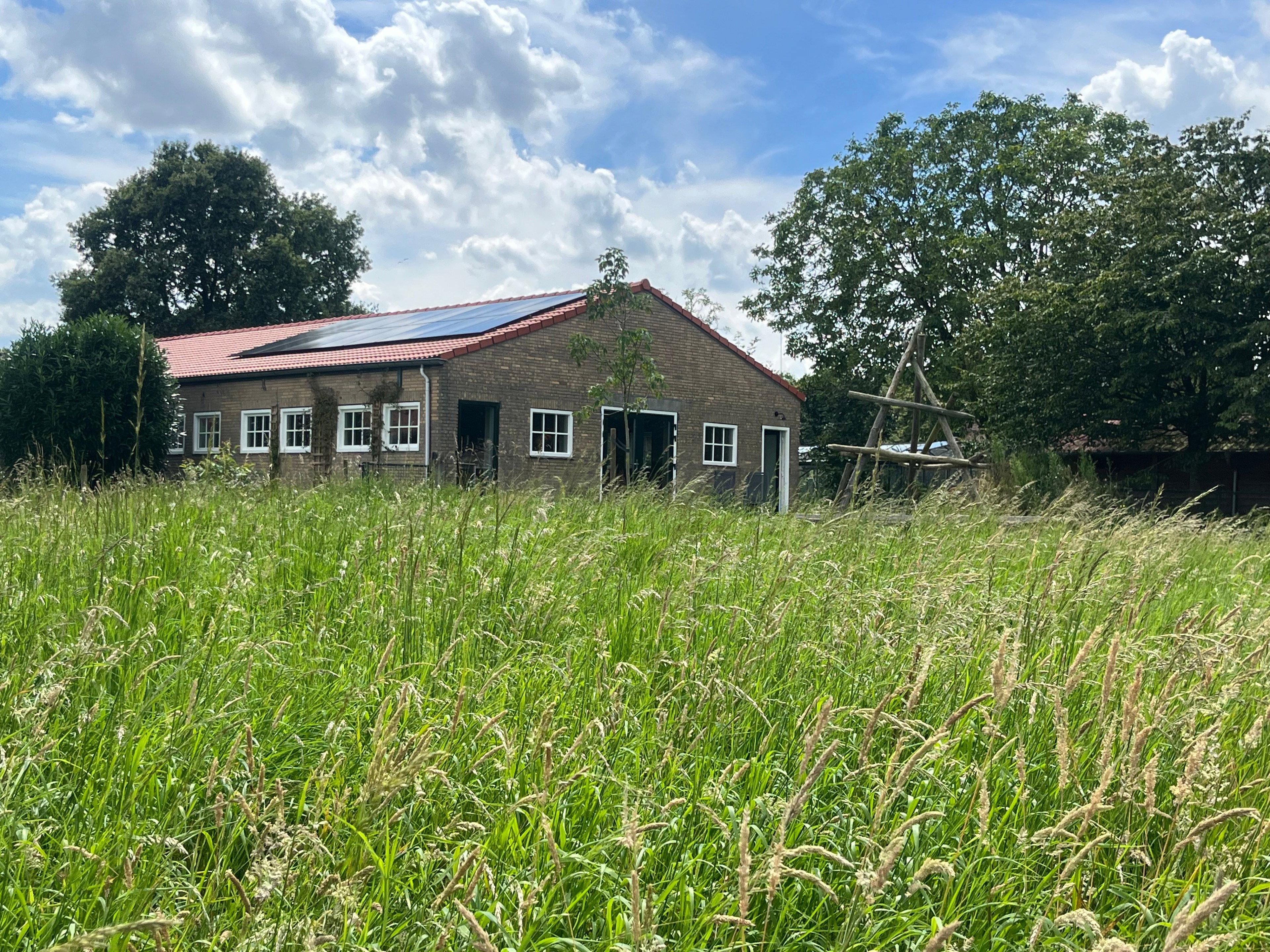 - image: 20