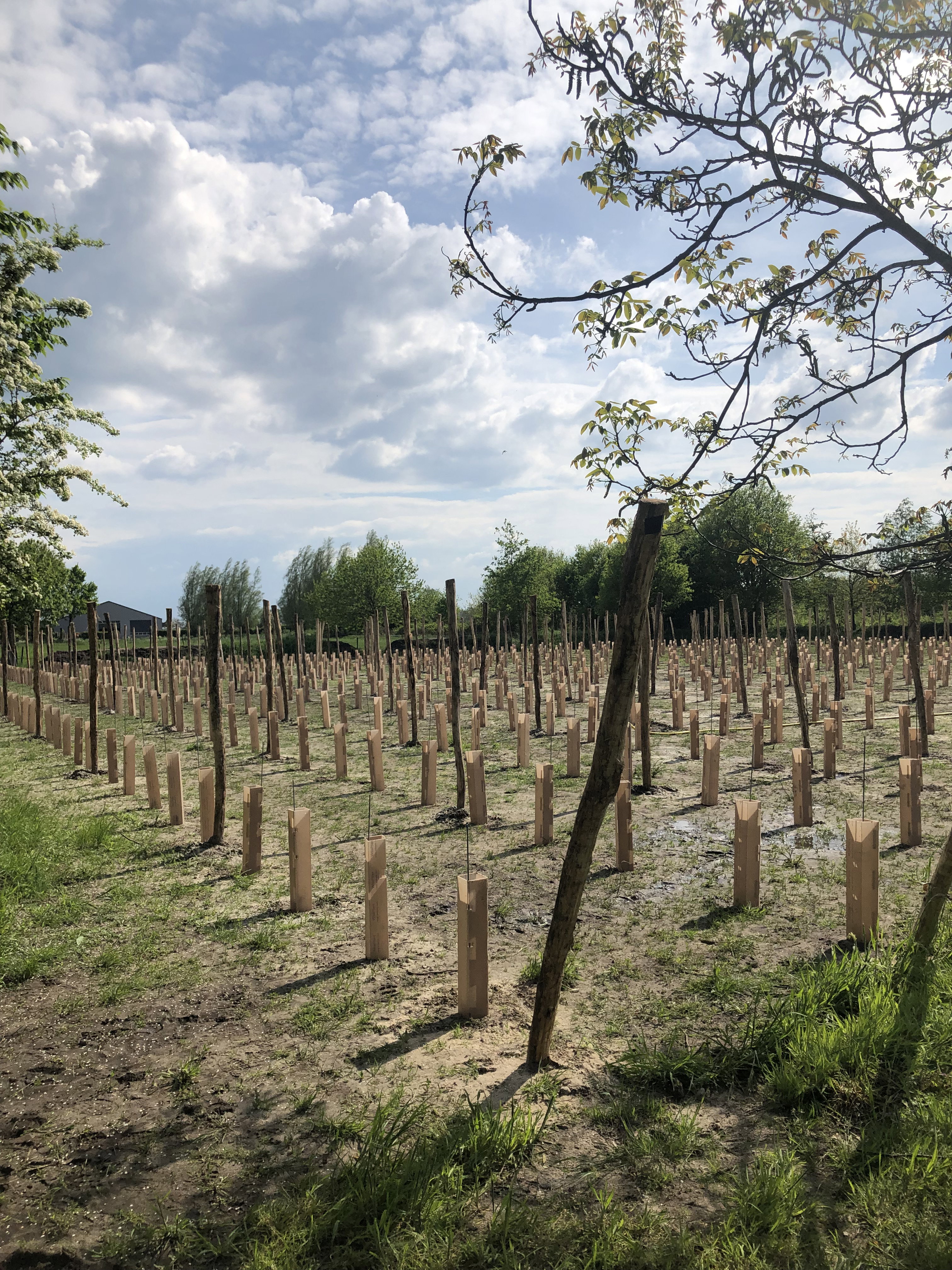 Casa nella natura a Hooge Zwaluwe