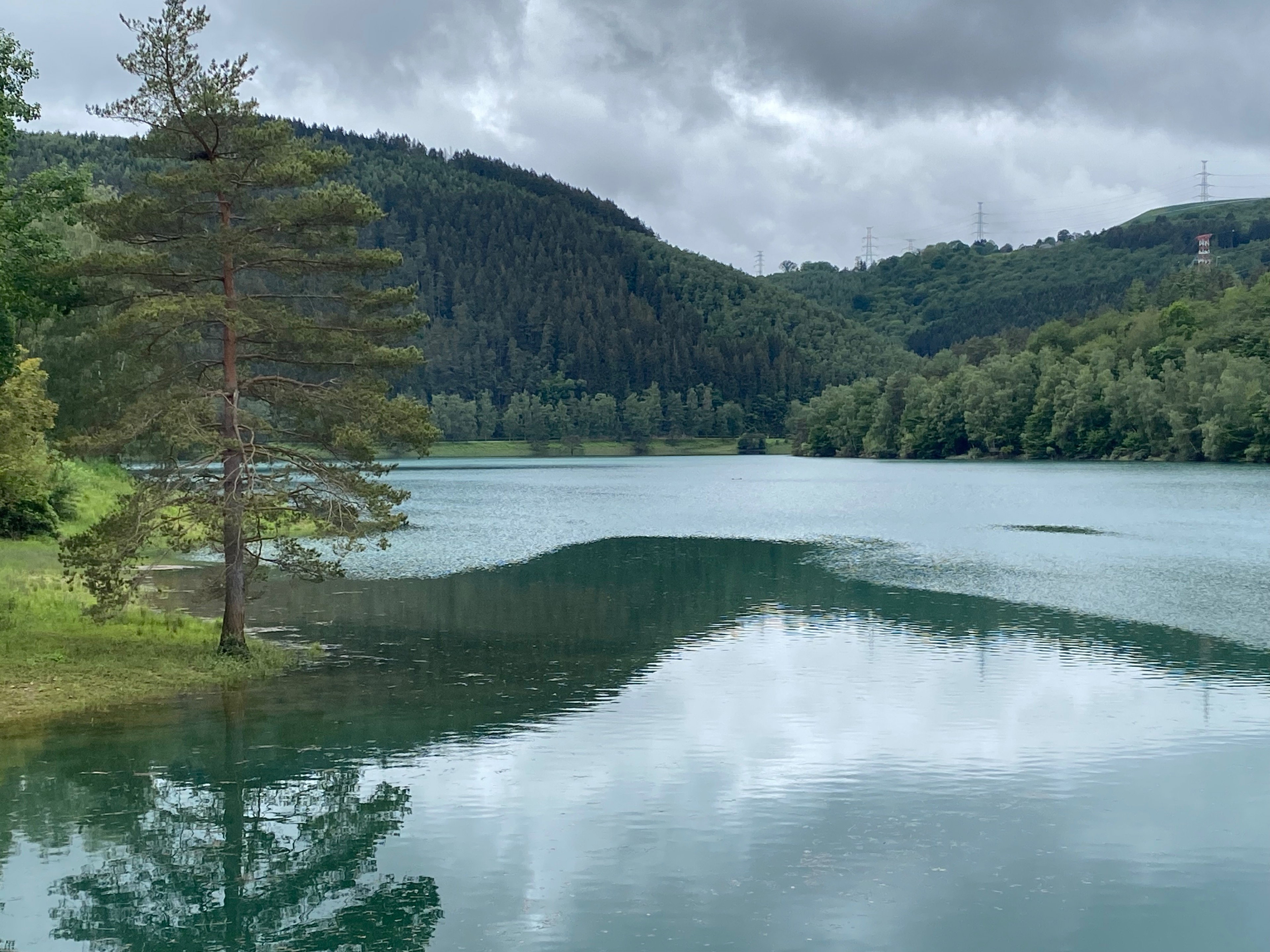 - image: 15