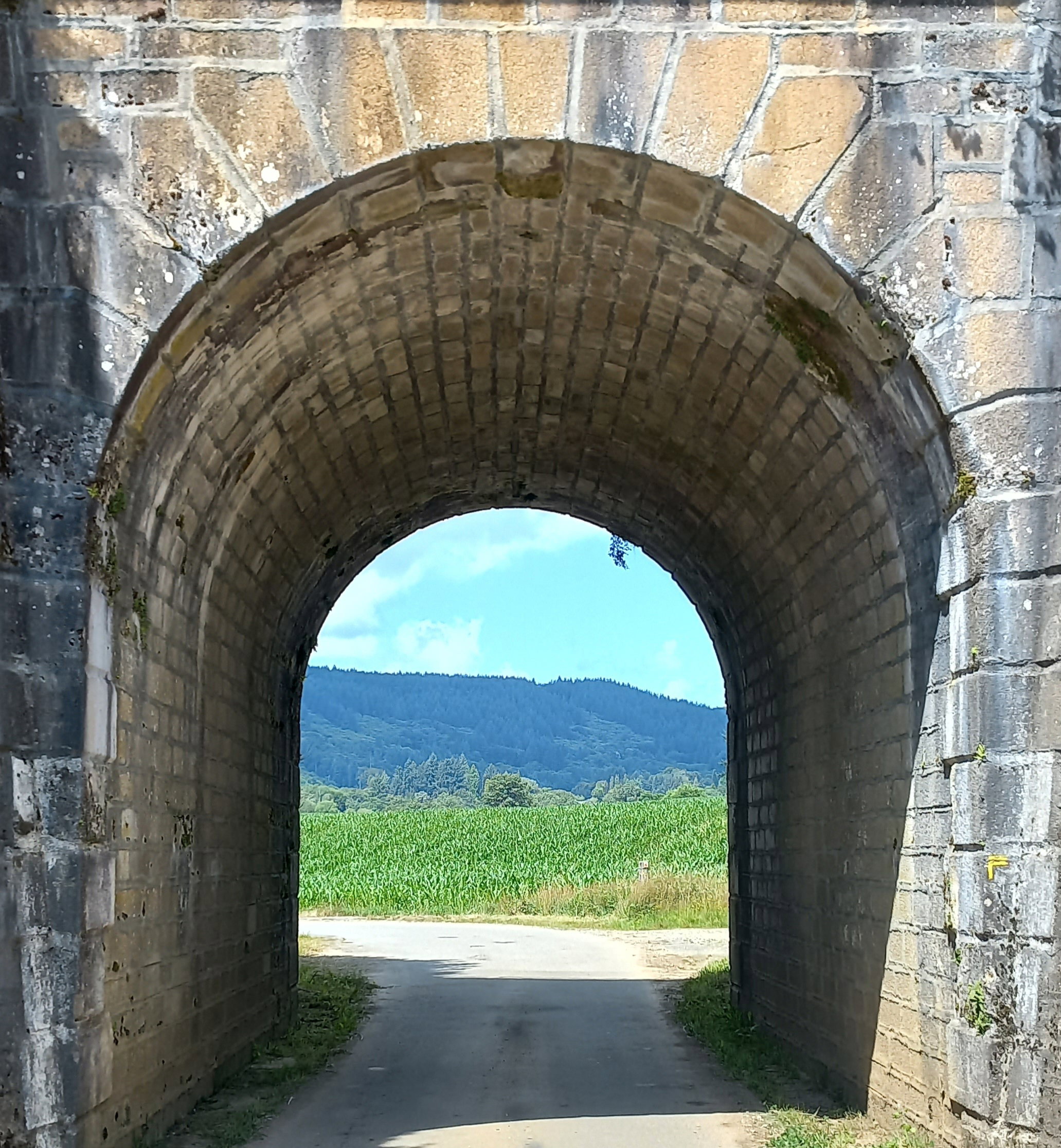 - image: 65