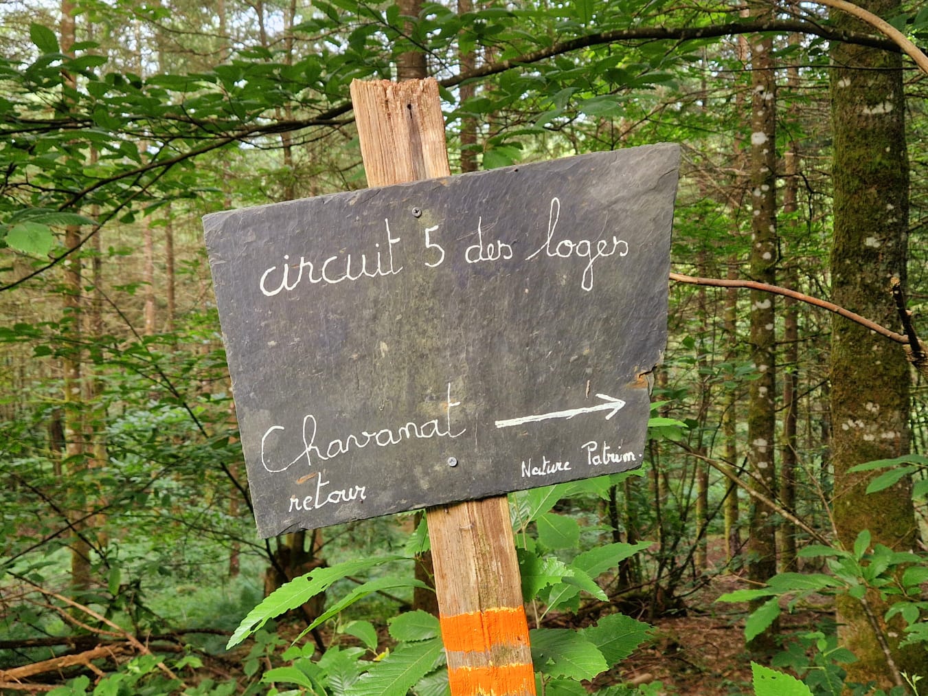 - image: 59