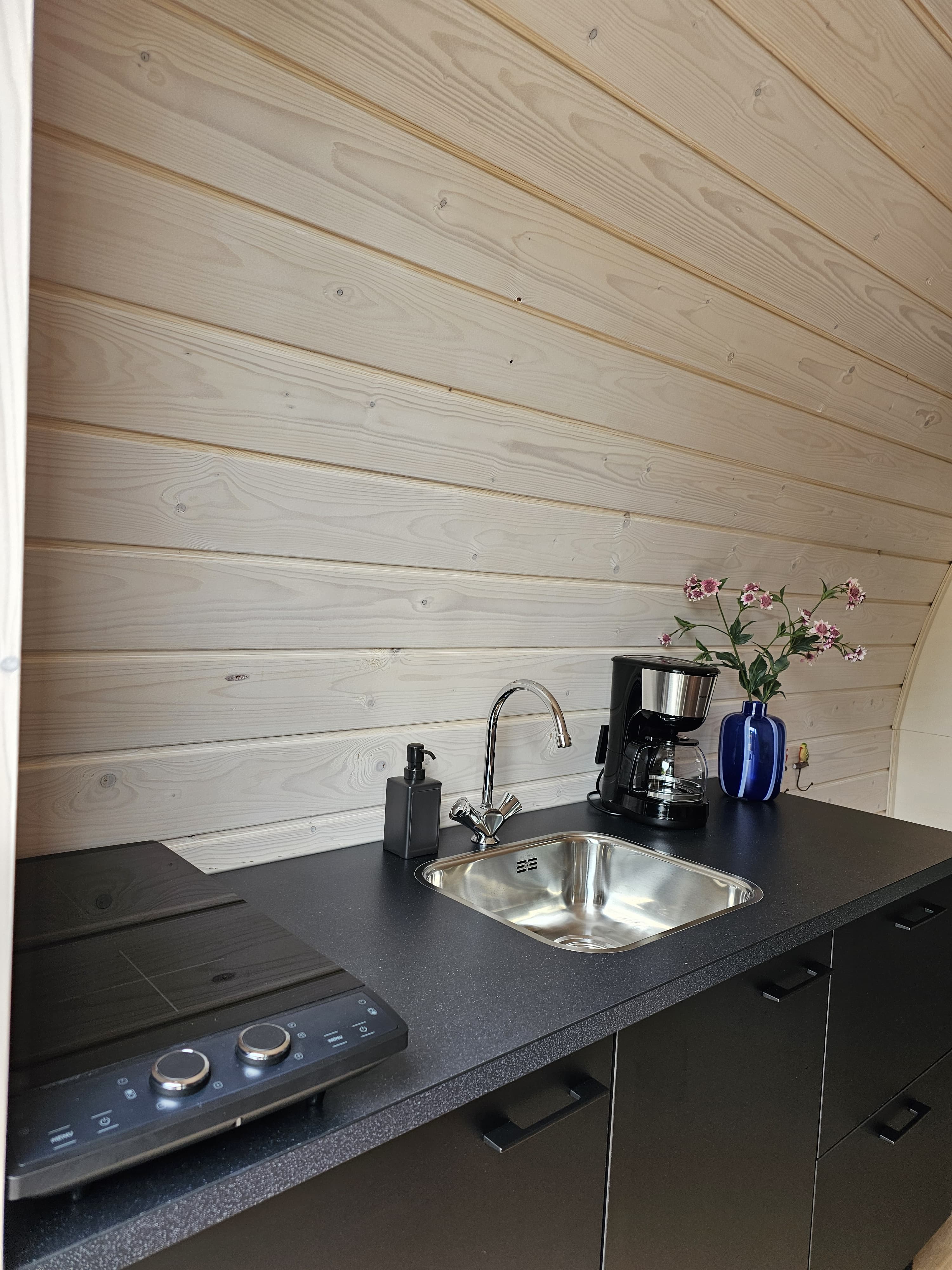 Natuurhuisje in Westergeest