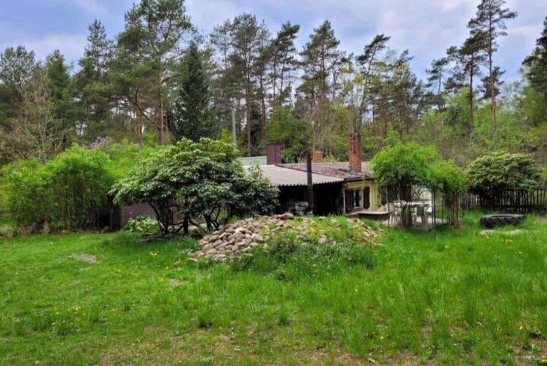 Natuurhuisje in Steinhorst