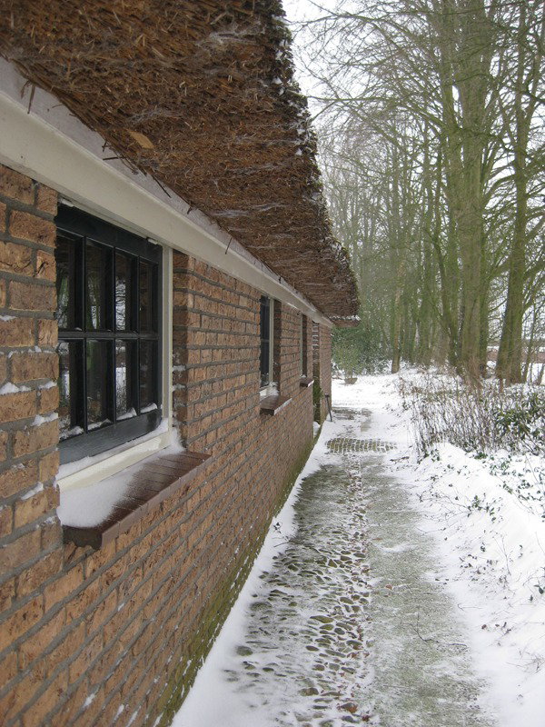 - image: 19