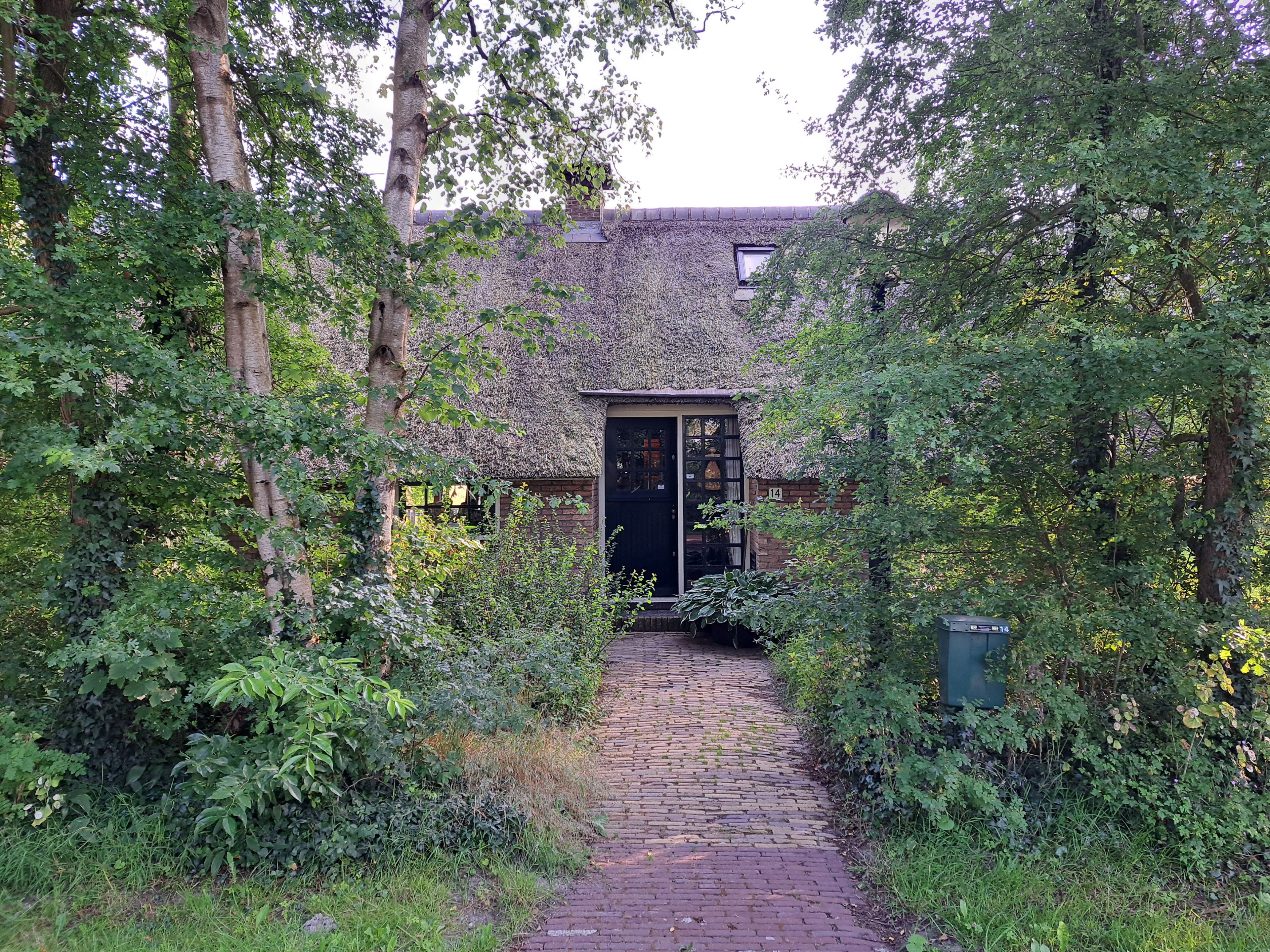 - image: 22