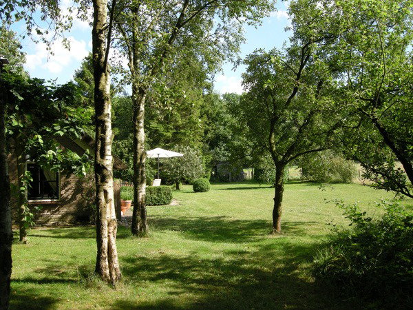 - image: 16