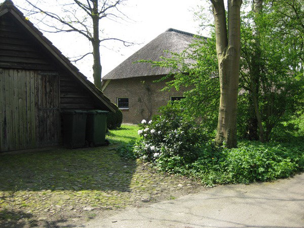 - image: 20
