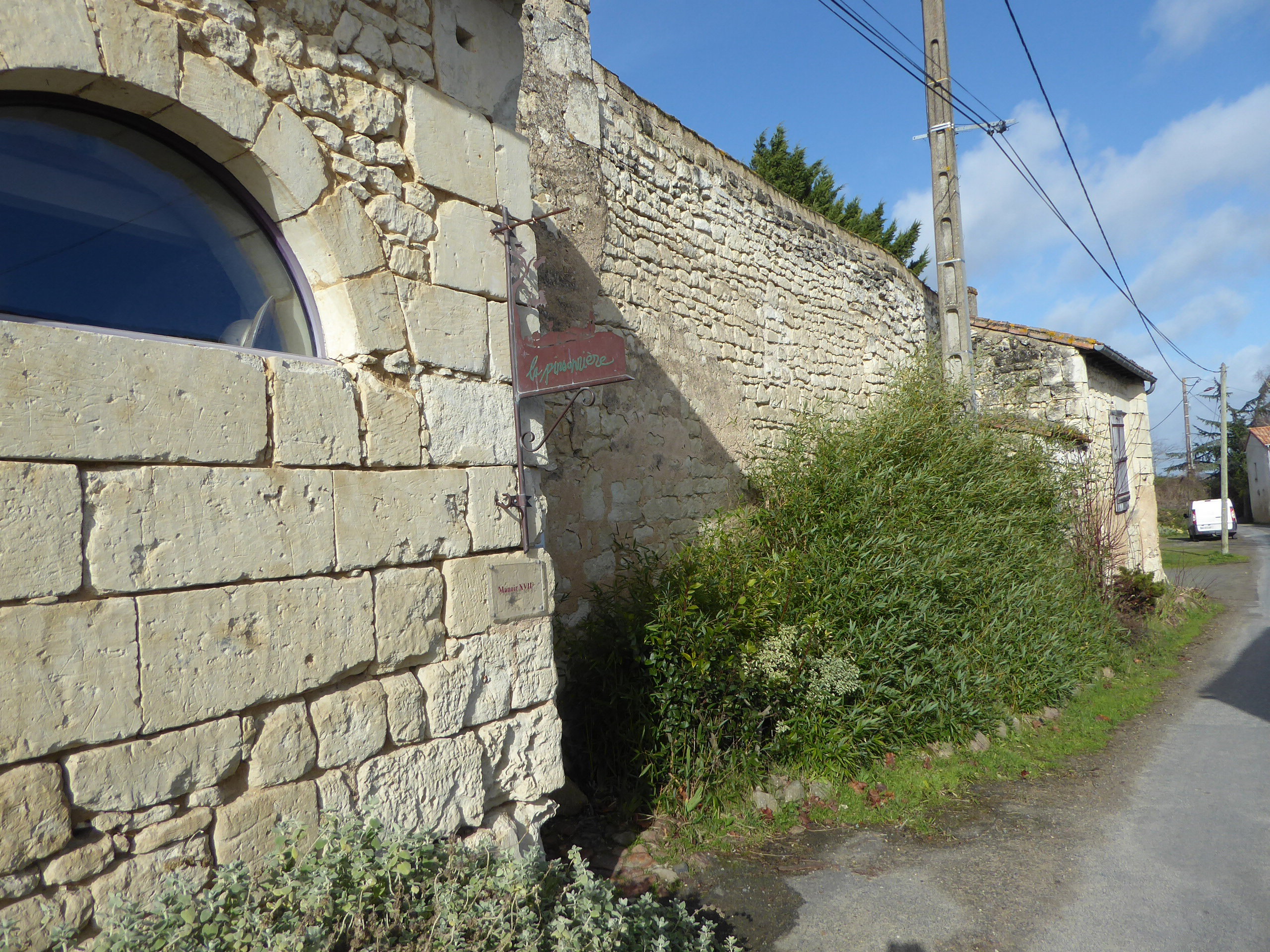 - image: 11