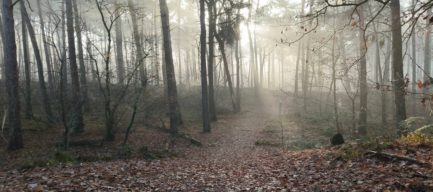 - image: 67