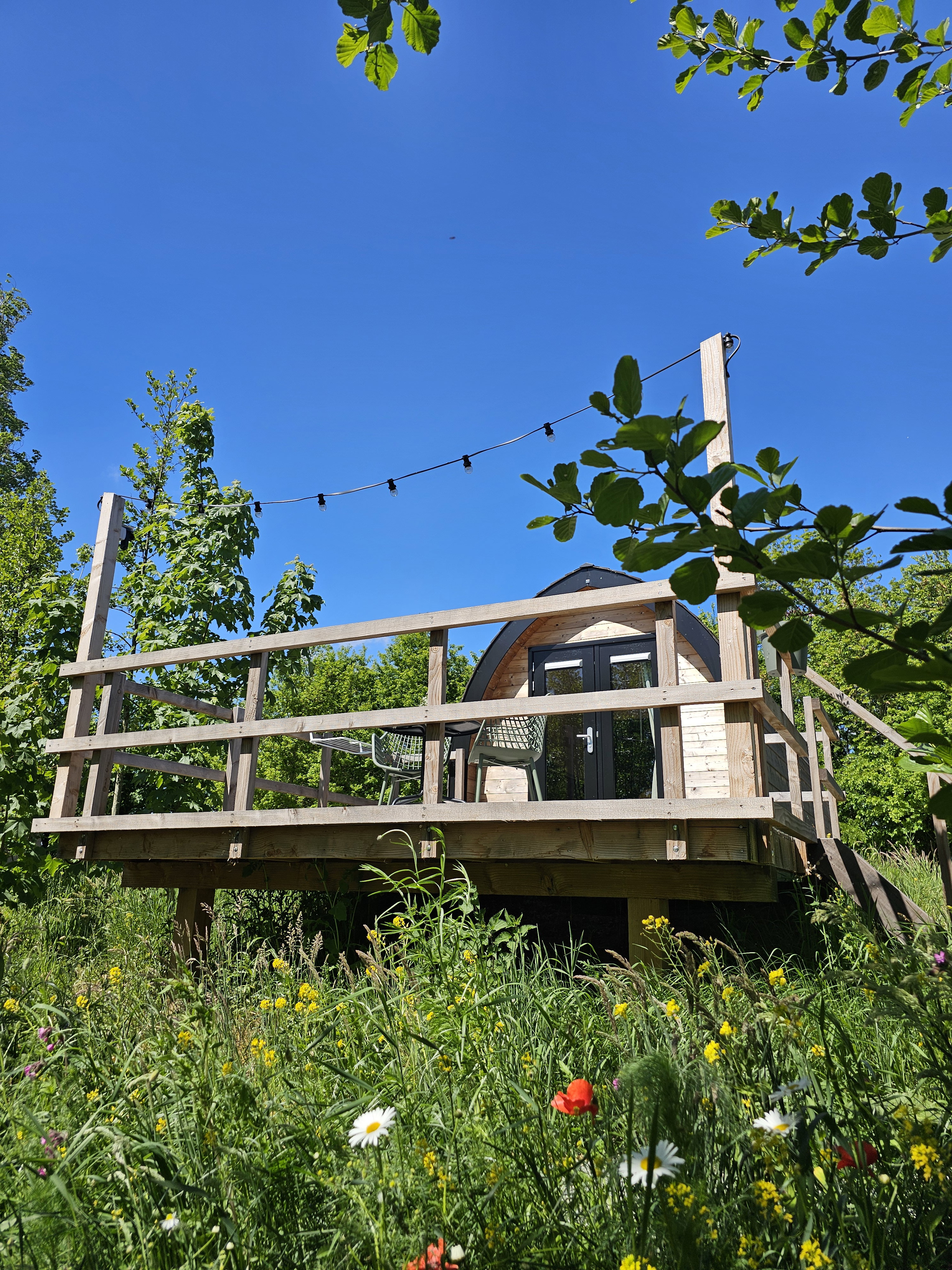 Natuurhuisje in Westergeest