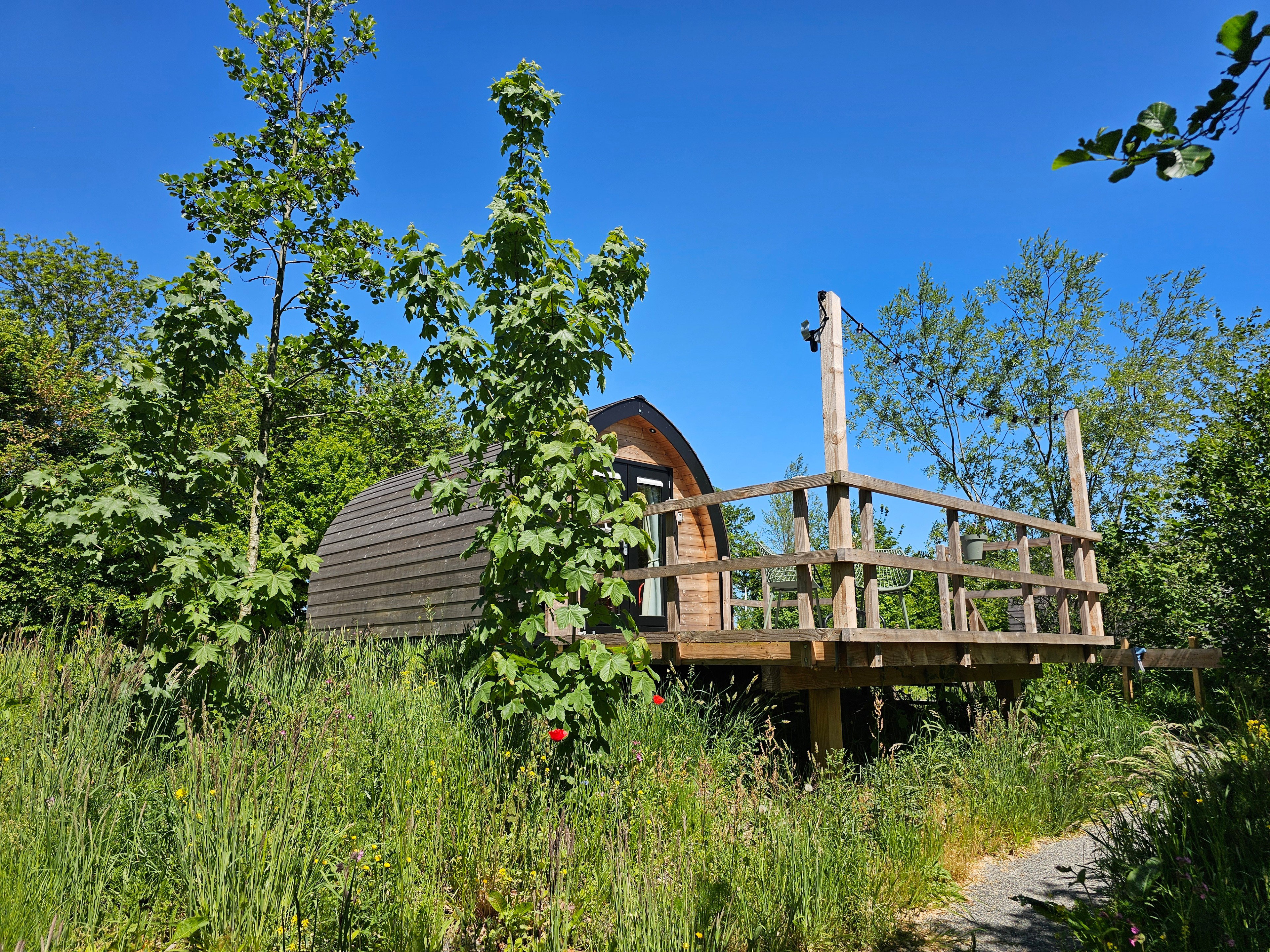 Natuurhuisje in Westergeest