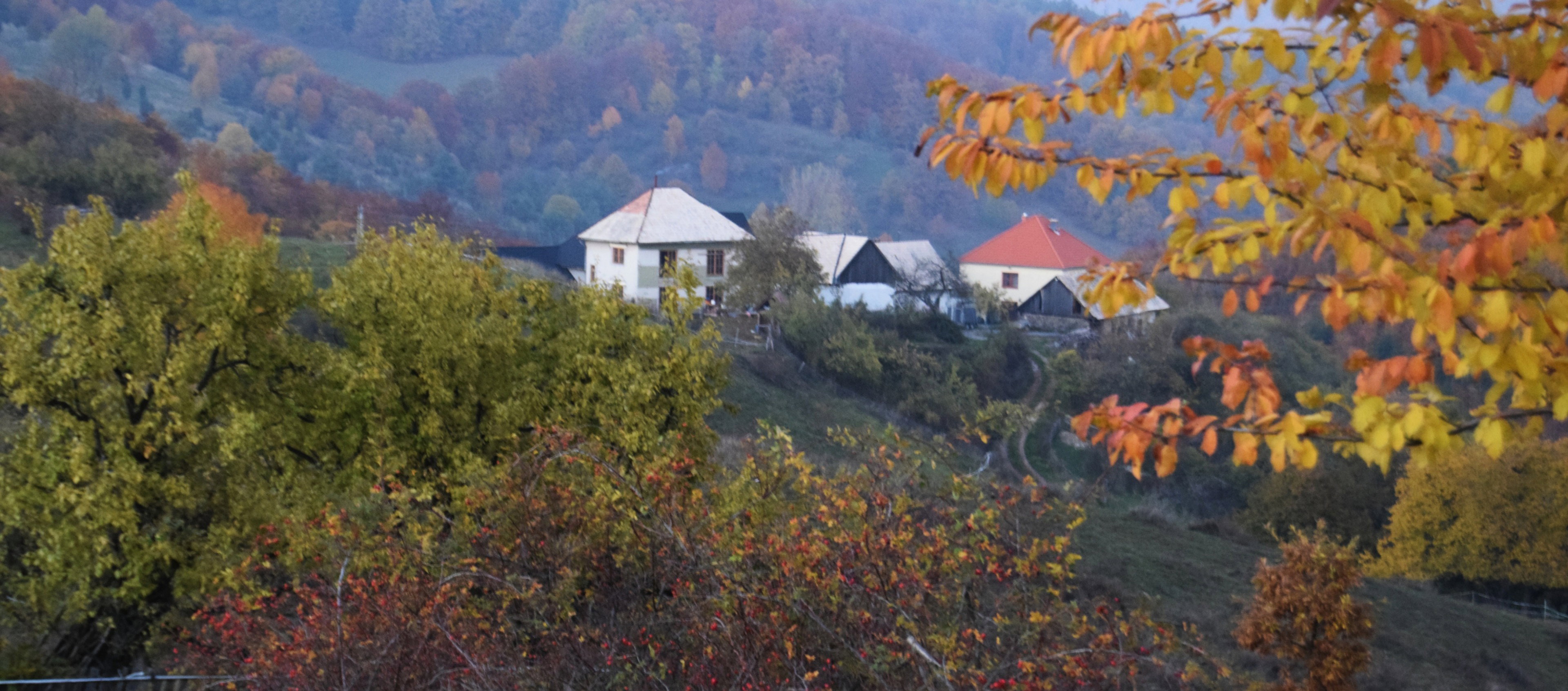 - image: 23