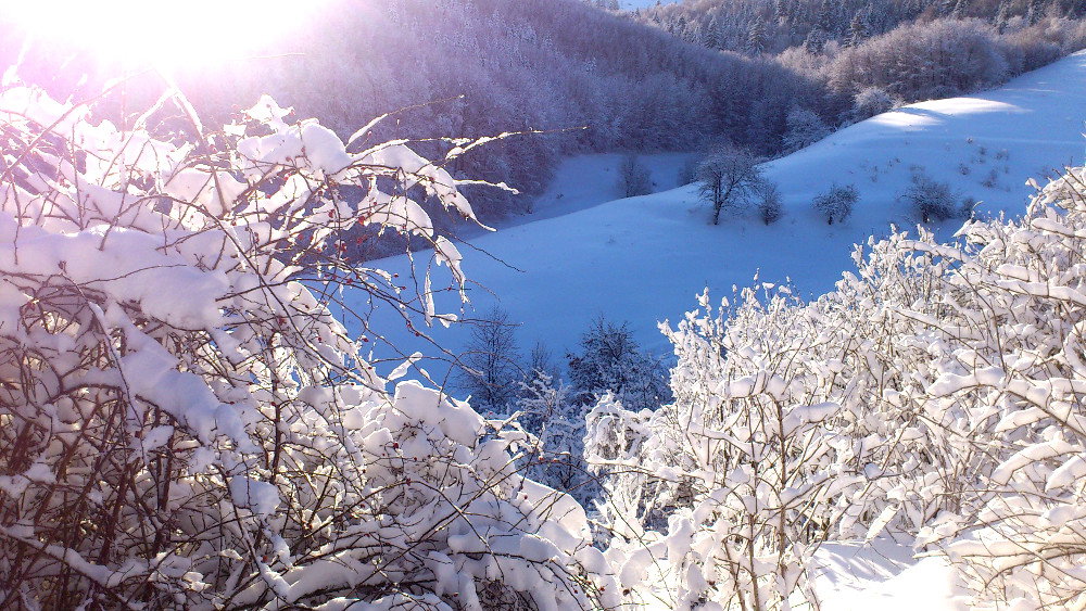 - image: 26