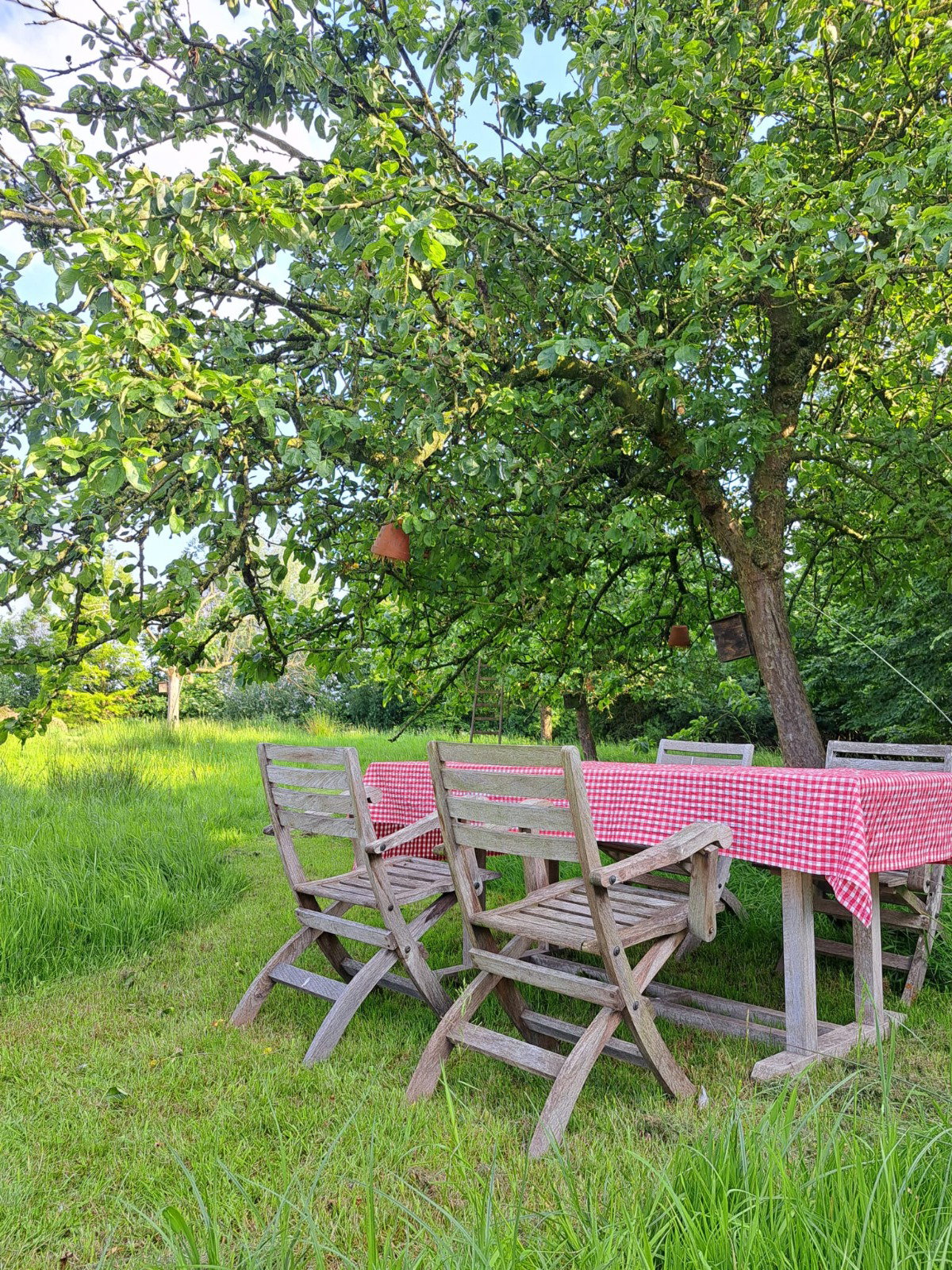 Casa nella natura a Staden