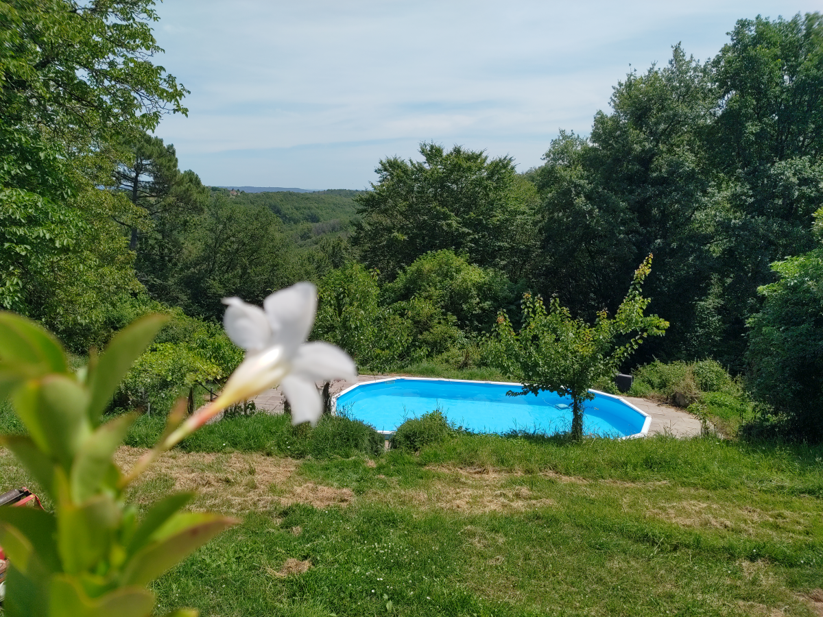 Natuurhuisje in Beynac et Cazenac