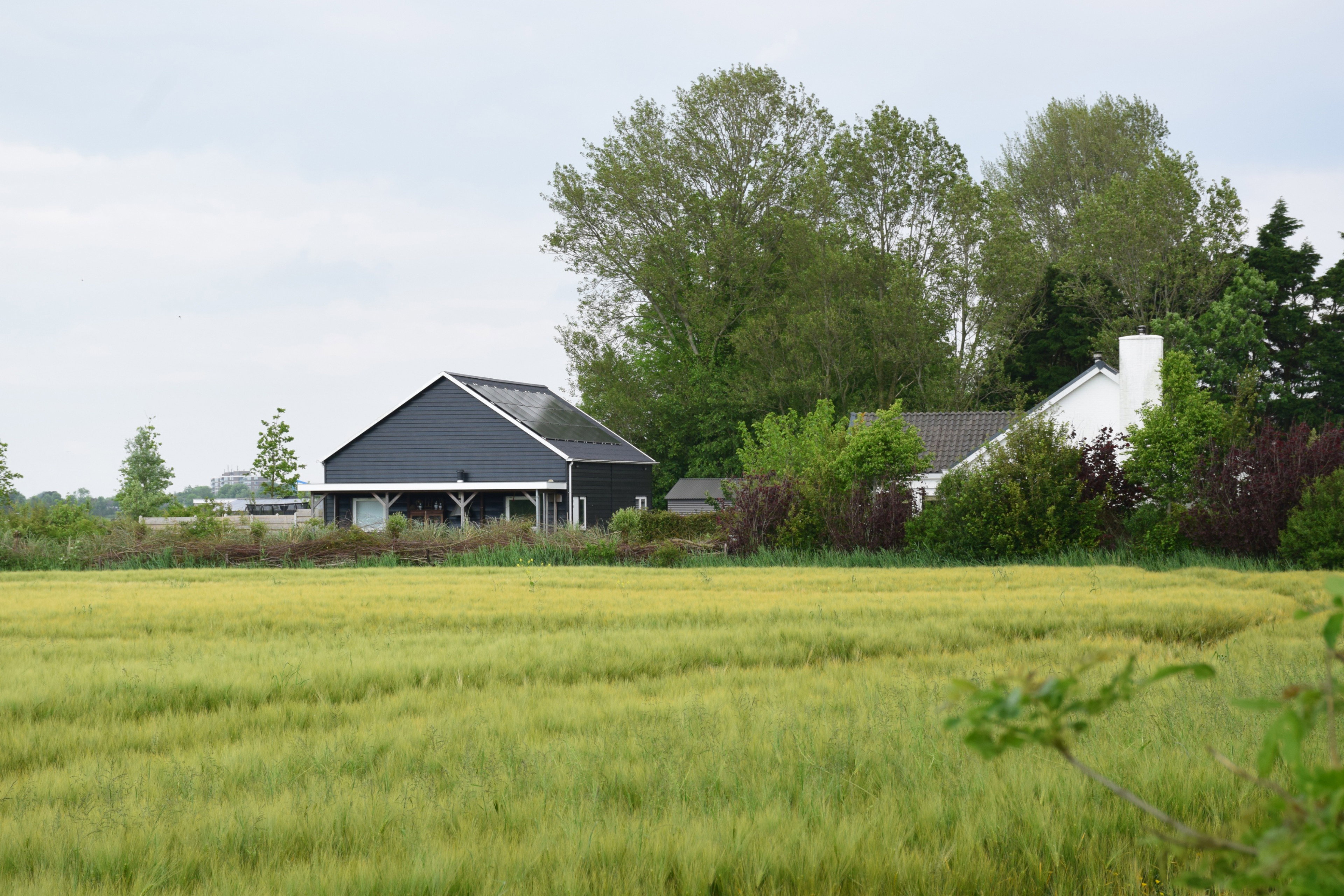 Naturhäuschen in Koudekerke