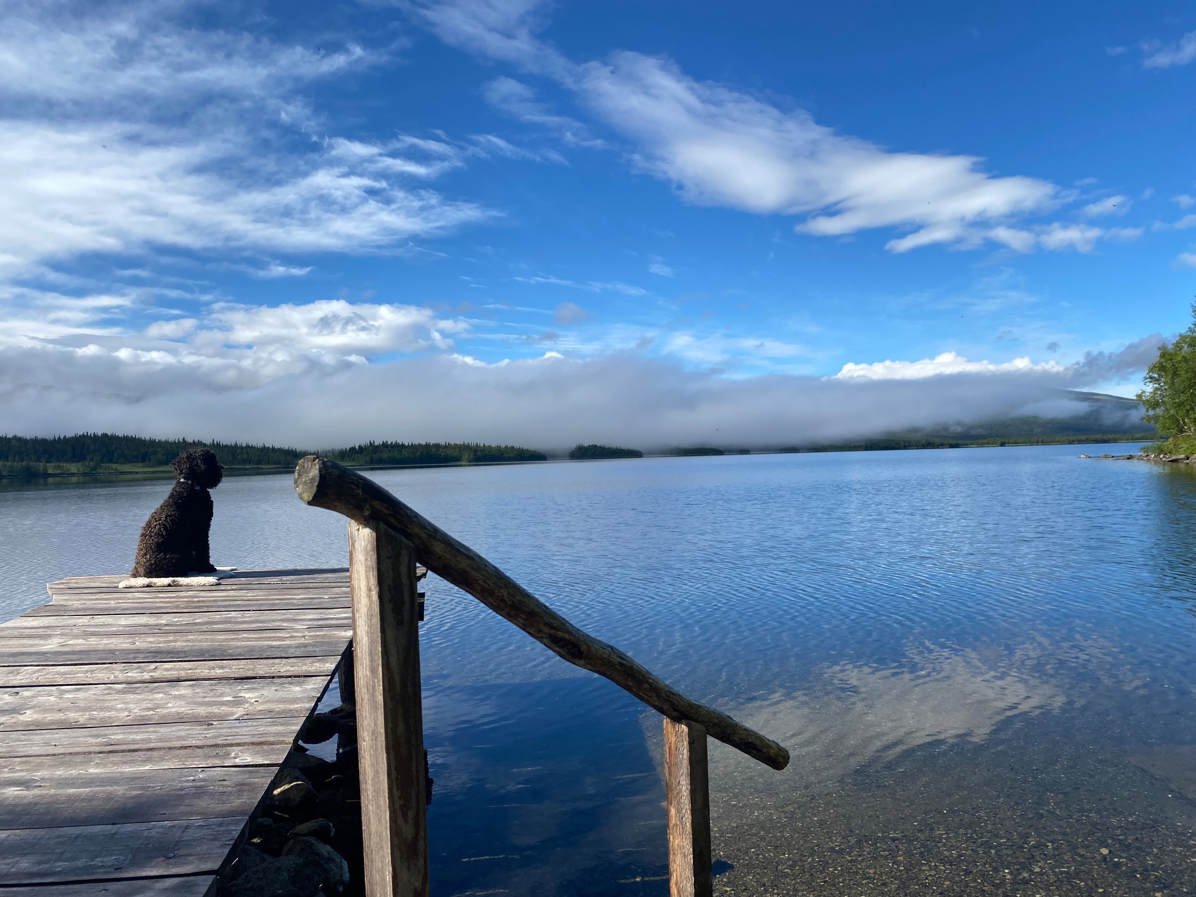Natuurhuisje in Klimpfjäll