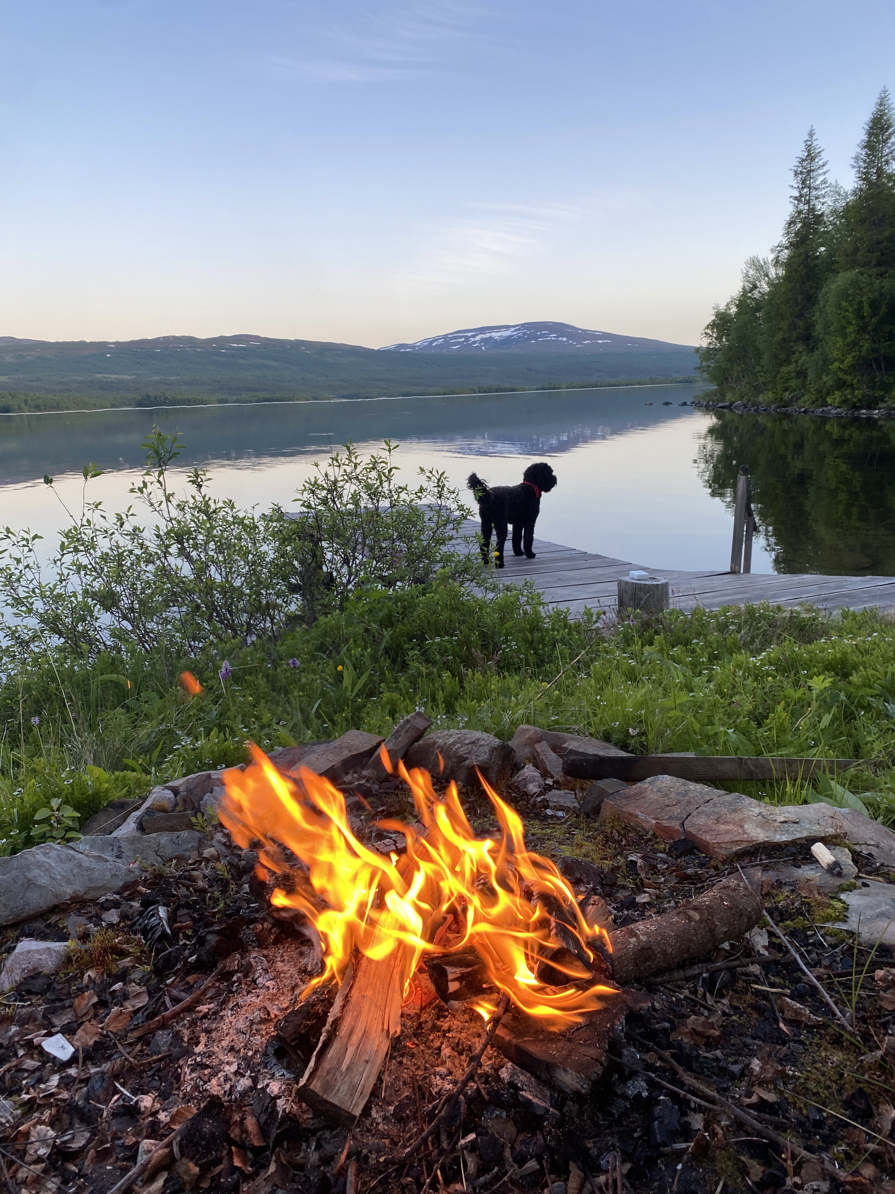 Natuurhuisje in Klimpfjäll