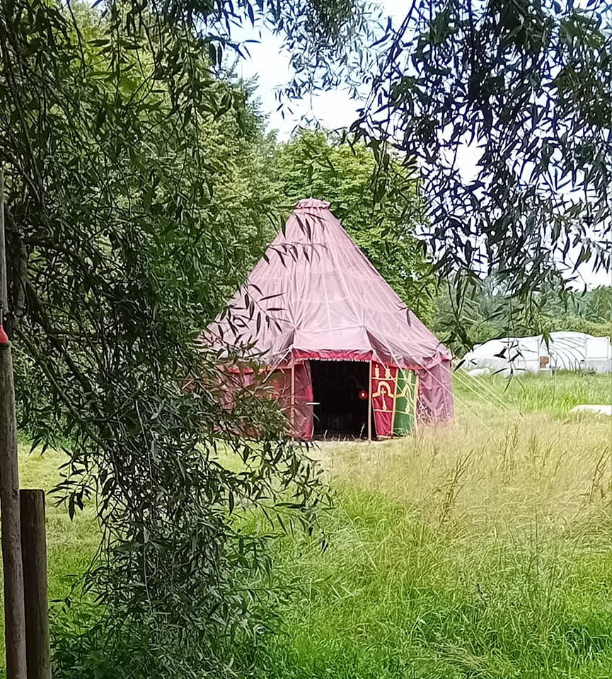 - image: 1