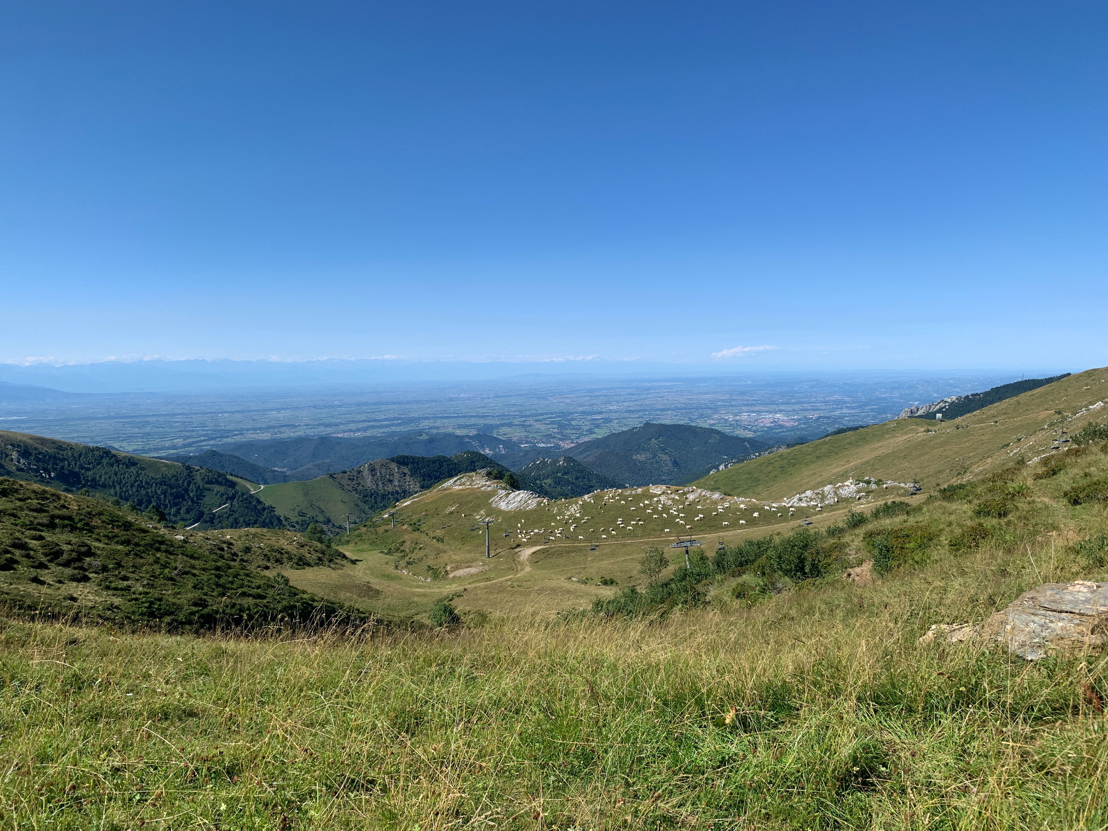 - image: 43